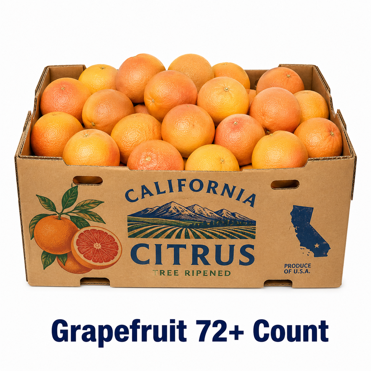 Grapefruit 72+ count