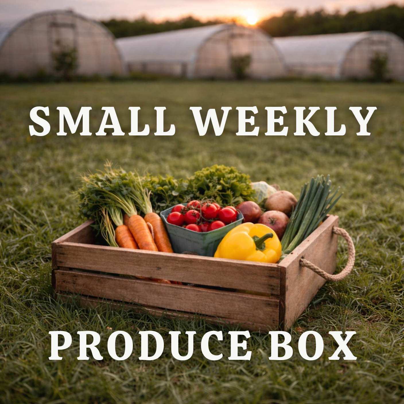 Small 12lb Weekly Produce Box