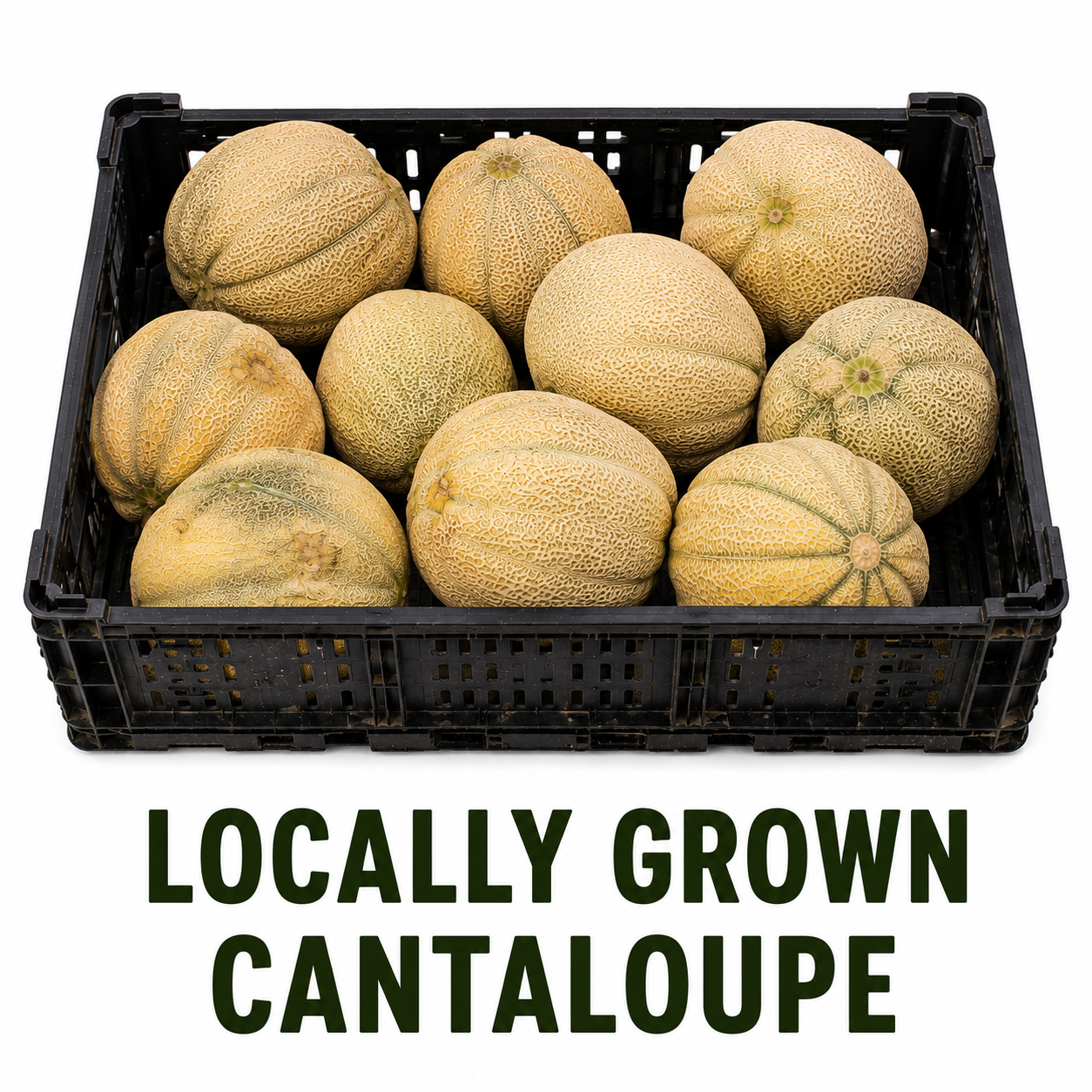 Local Cantaloupe