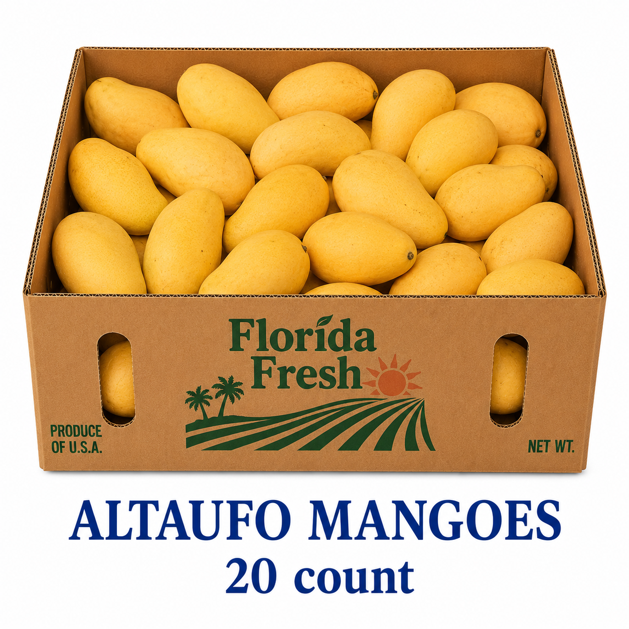 Altaufo Mangoes 20ct