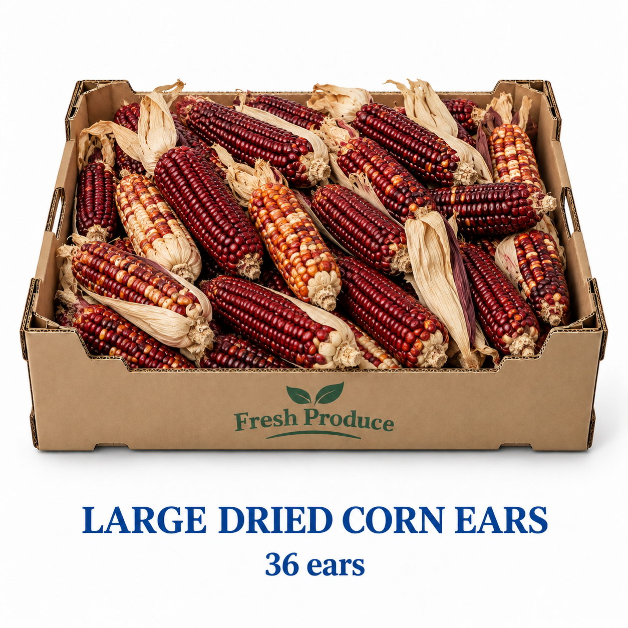 Large Indian Dried Corn