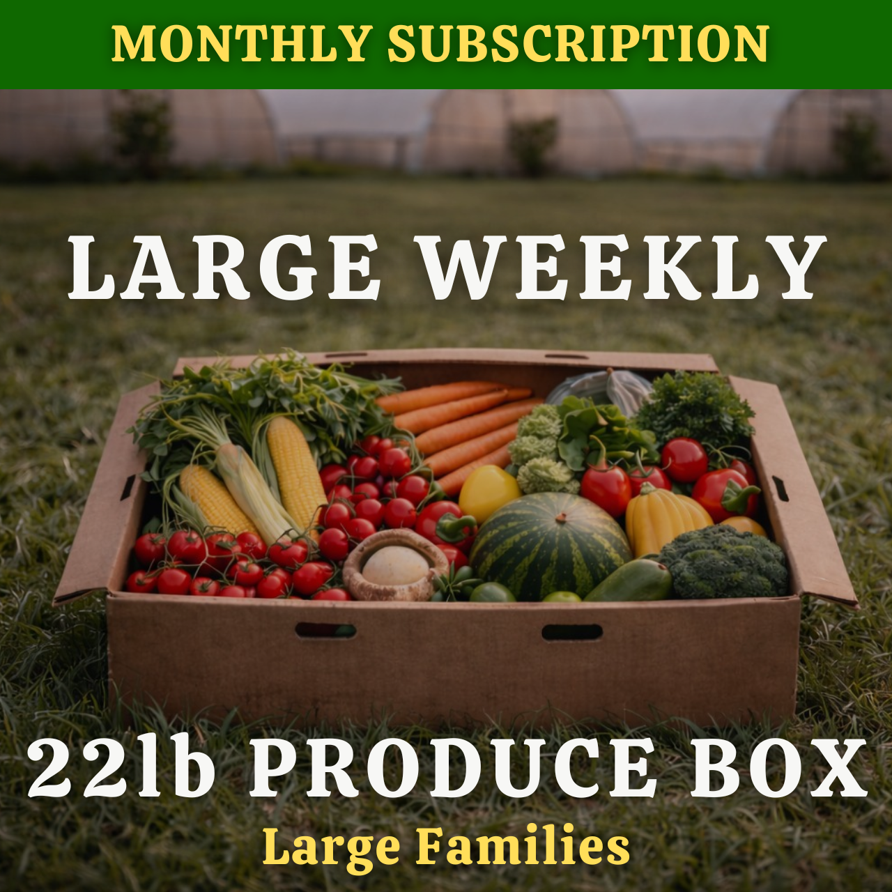 Farmersville Monthly | Large 22lb Weekly Produce Box ($75/week)