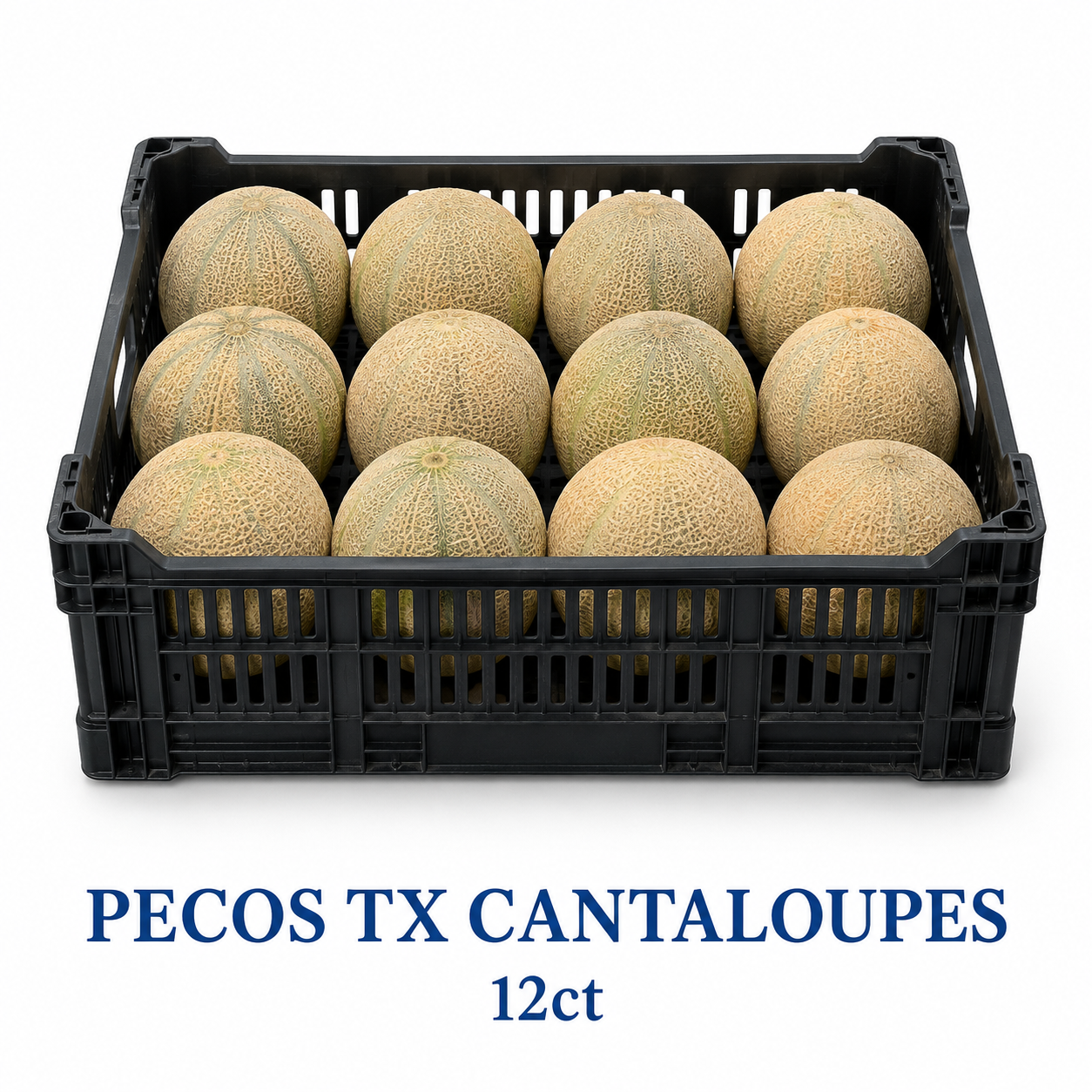 PECOS TX Cantaloupe 12ct