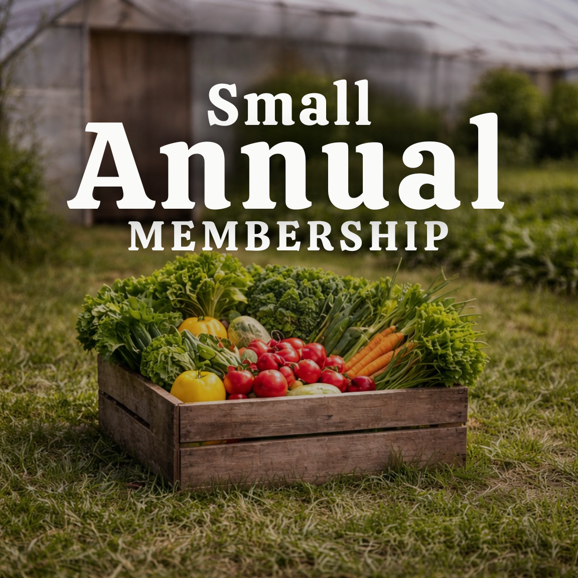 Small Annual Produce Membership | 24 Weeks