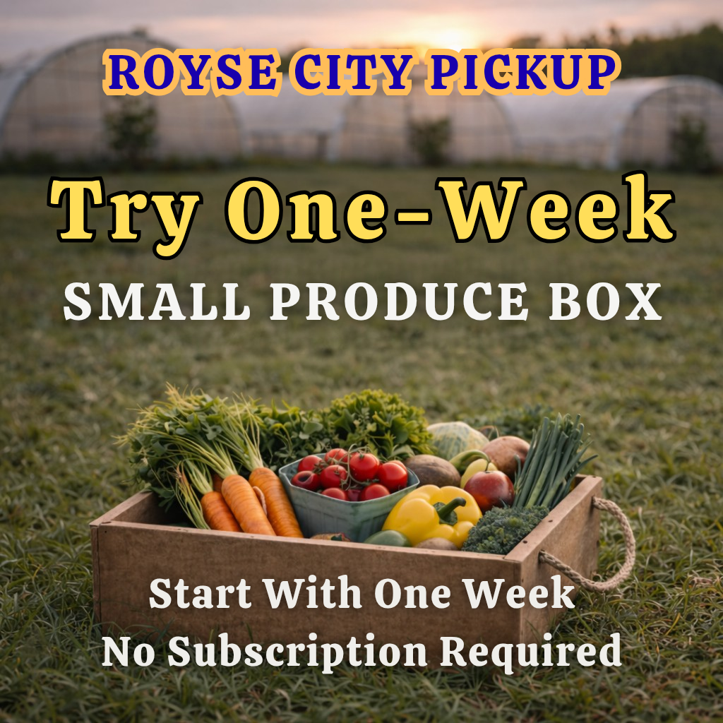 Royse City TRIAL 12LB Small Box