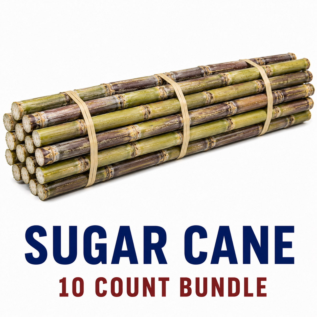 Sugar Cane 10ct Bundle