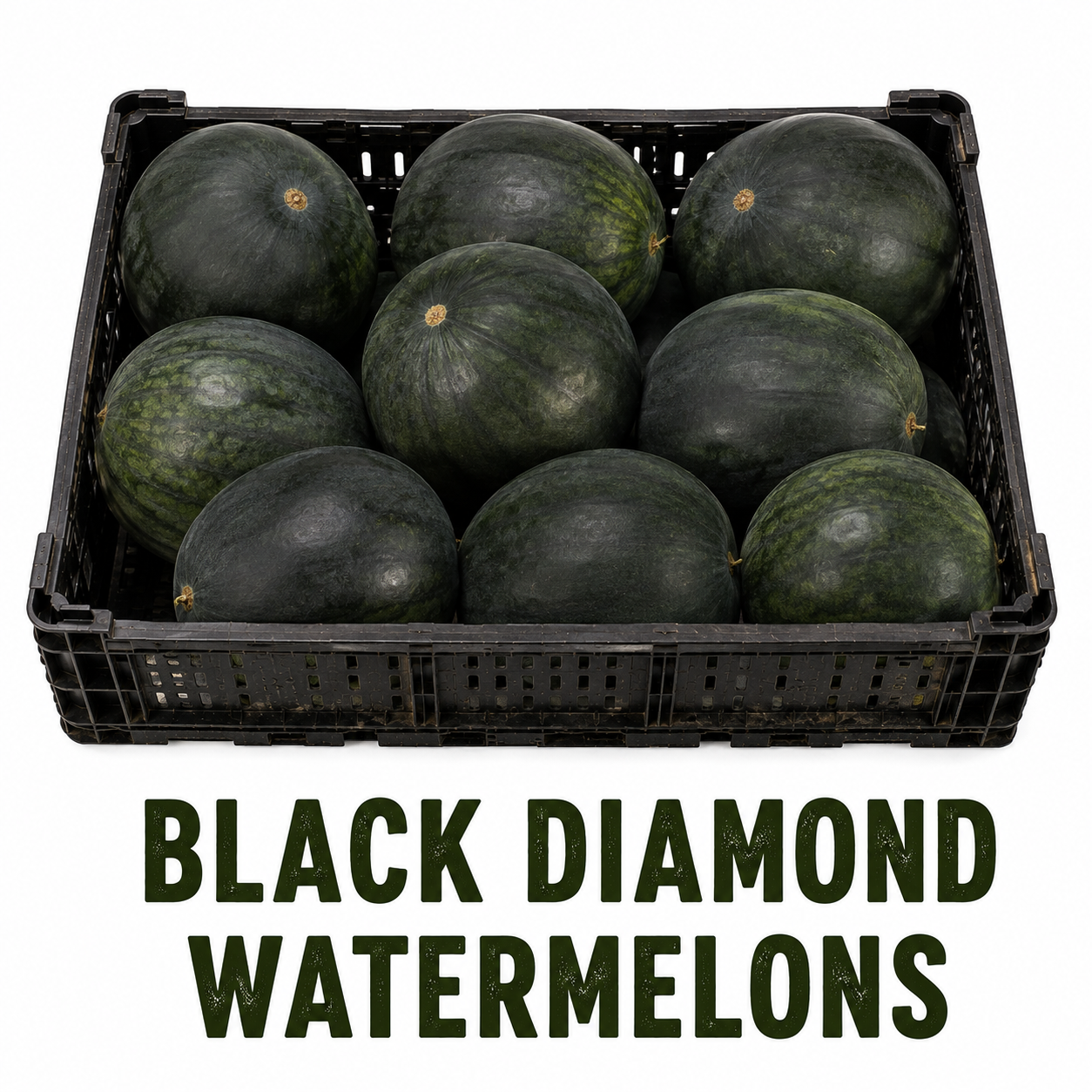 Black Diamond Watermelons
