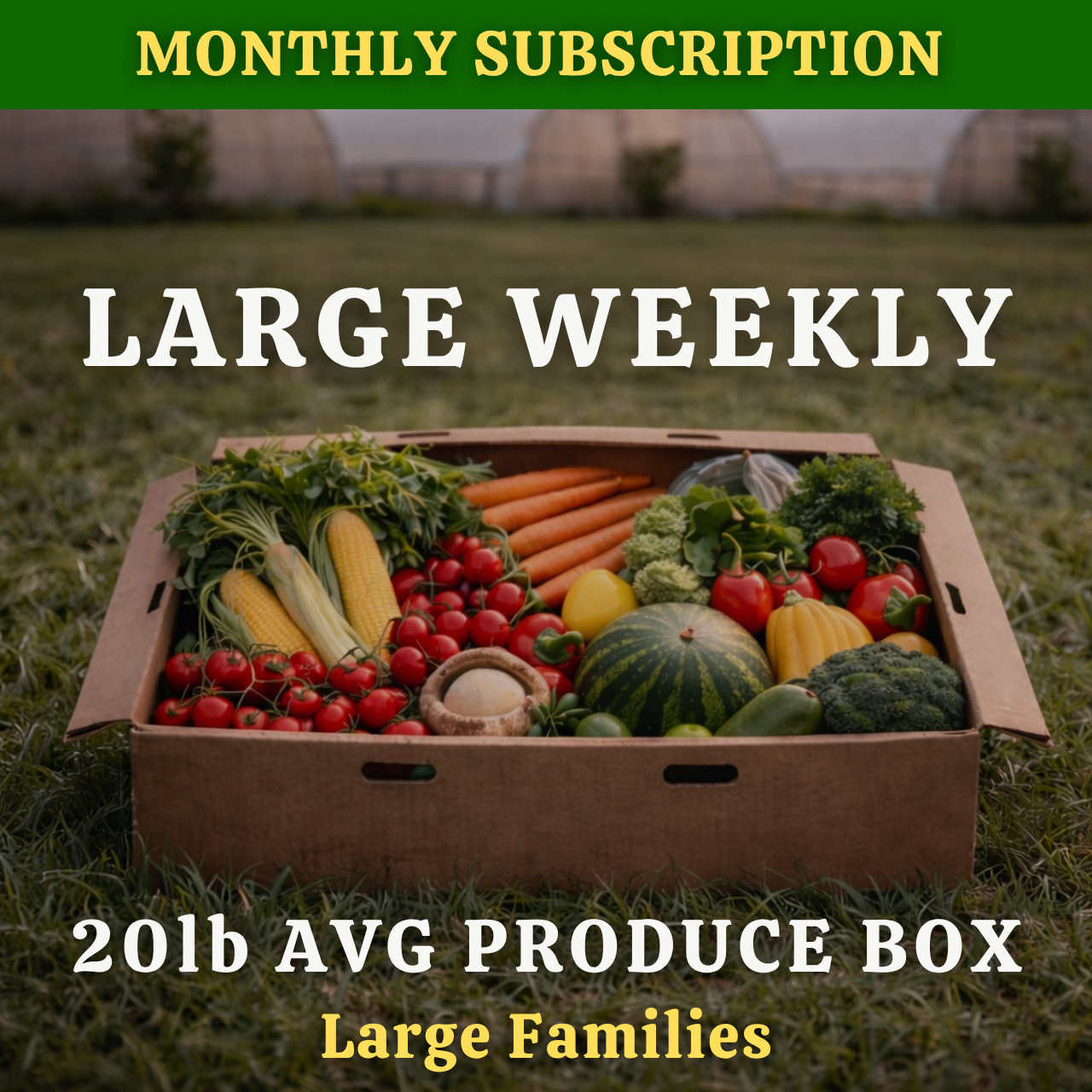 MONTHLY | LARGE 22LB WEEKLY PRODUCE BOX — $300 EVERY 4 WEEKS