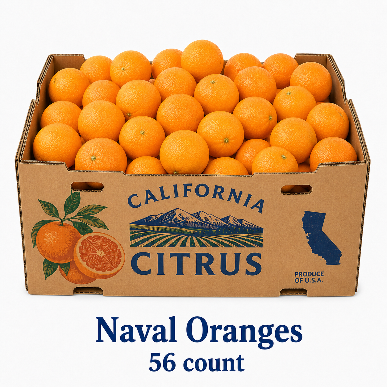 Naval Oranges 56CT