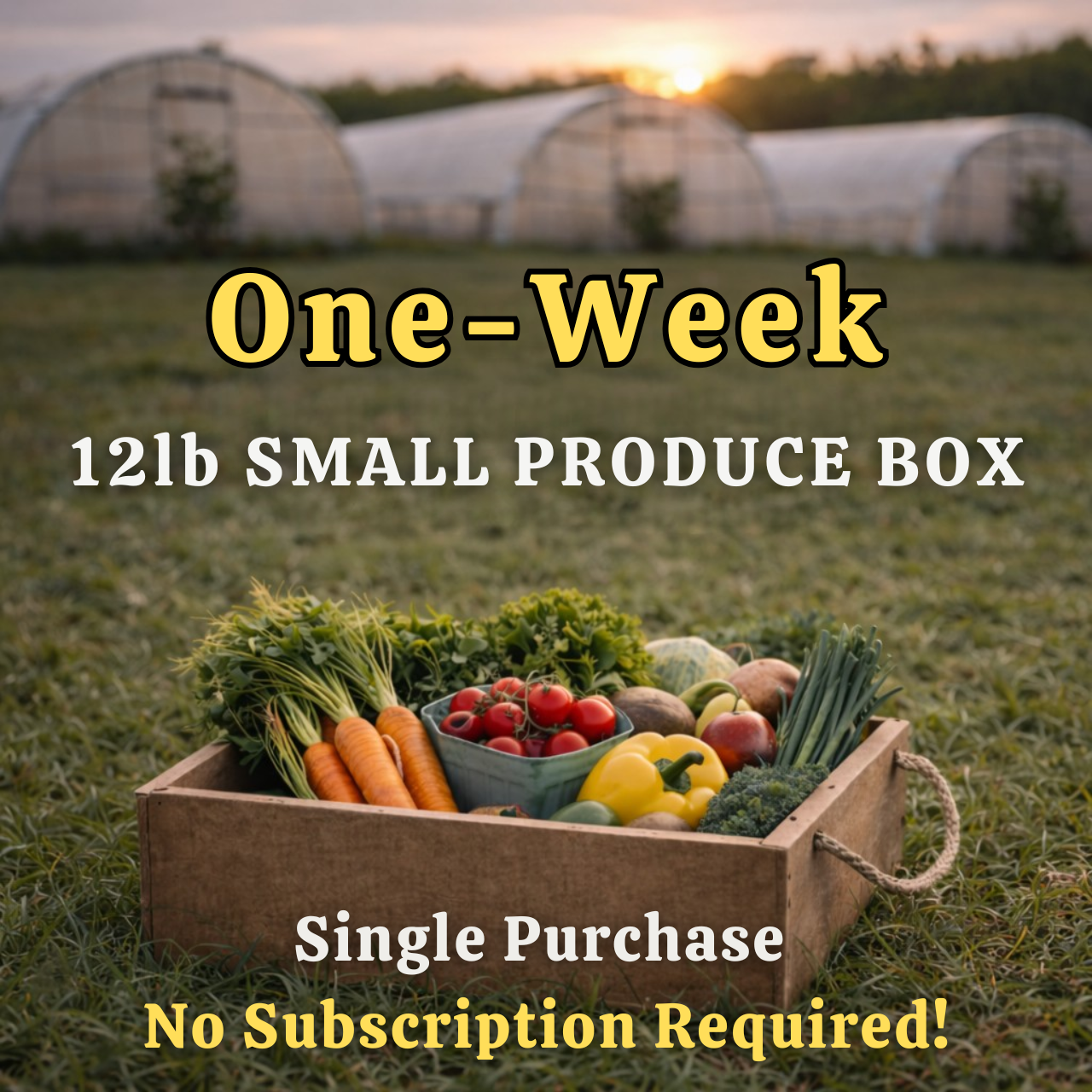 Farmersville TRIAL 12lb Small Box