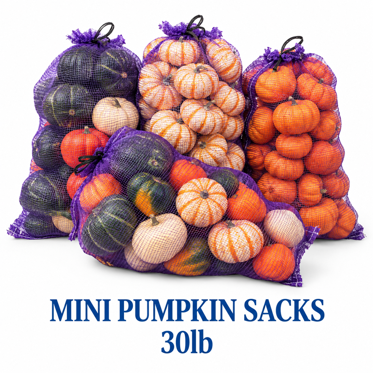 Mini Pumpkin Sacks