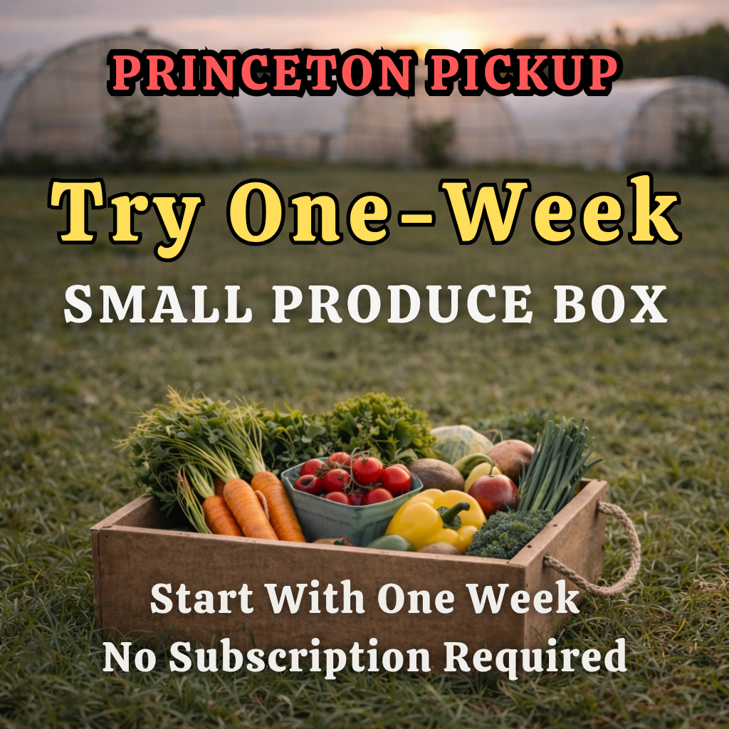 TRIAL Princeton 12lb Small Box
