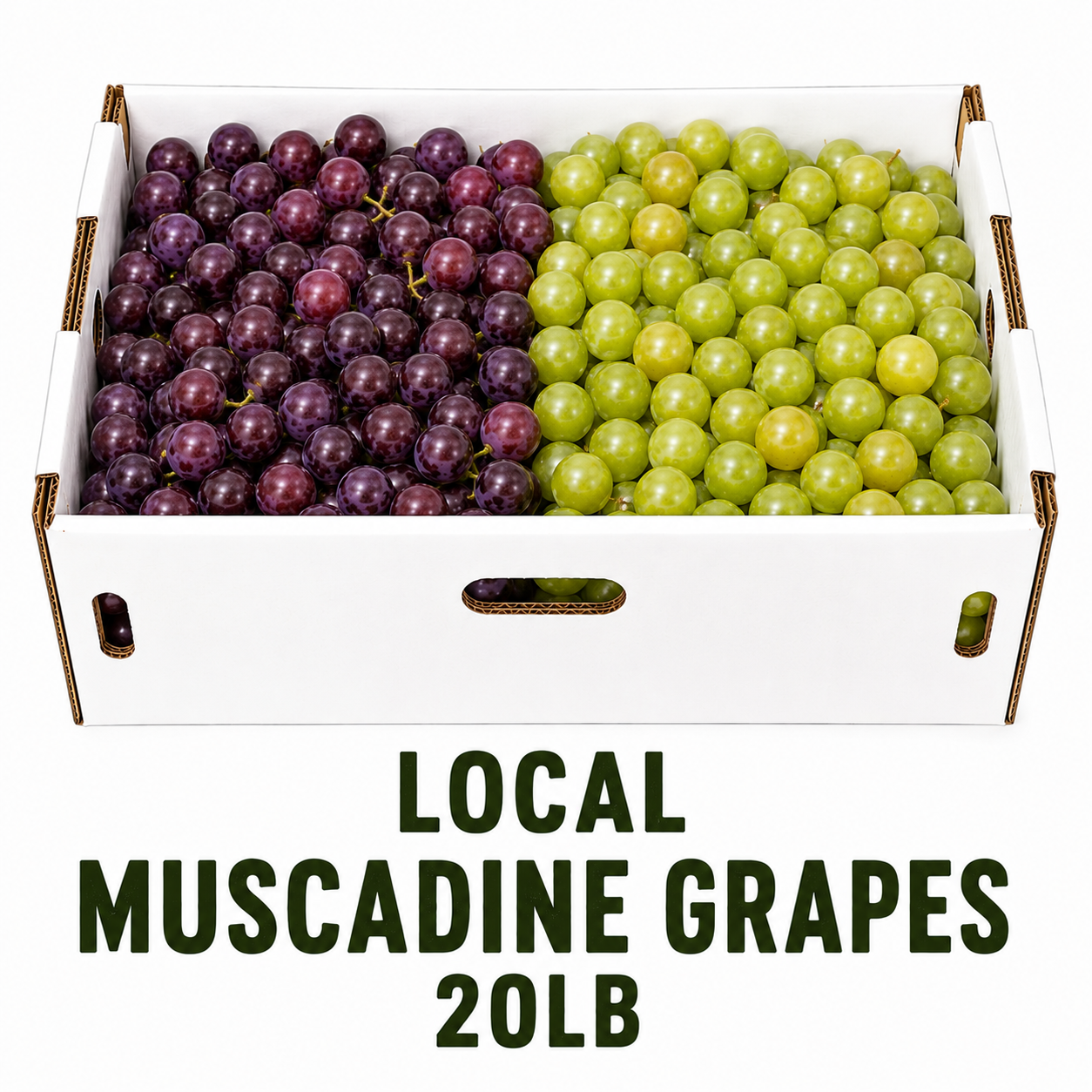 Local Muscadine Grapes 20lb