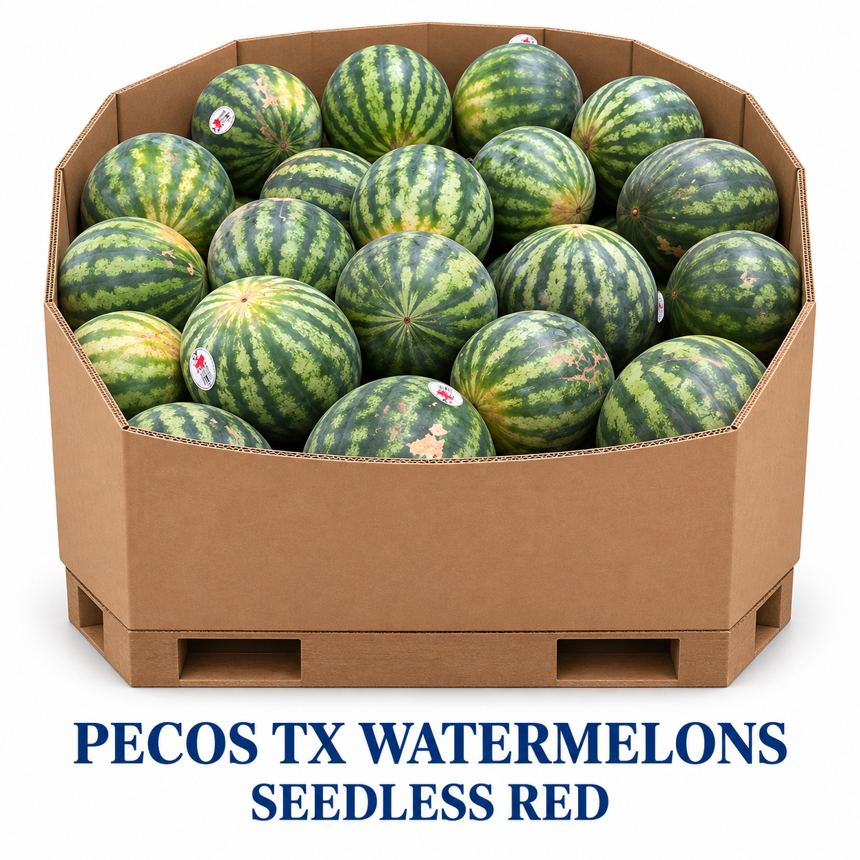 PECOS TX Watermelons