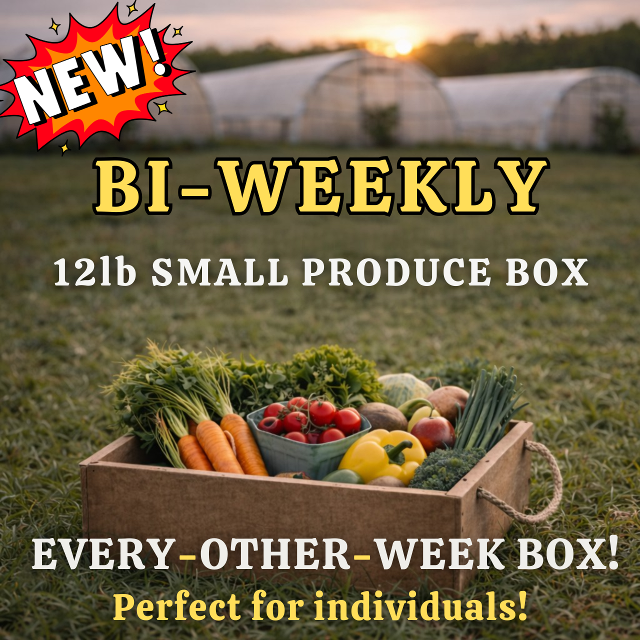 Princeton Bi-Weekly | Small 12lb Produce Box (Every Other Week)