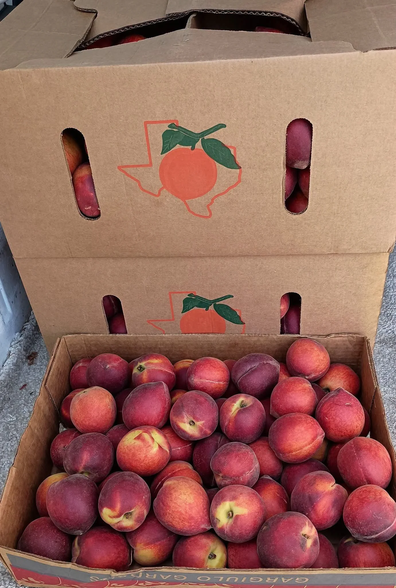 12lb Tx Peach Box