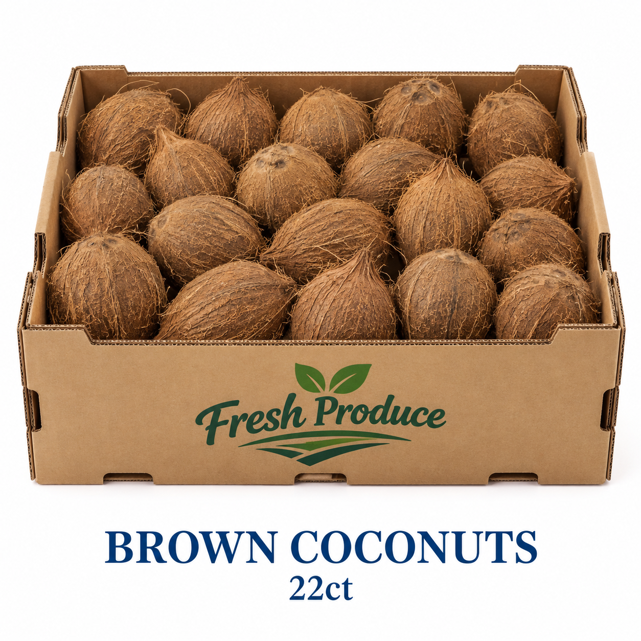 Coconuts 22ct