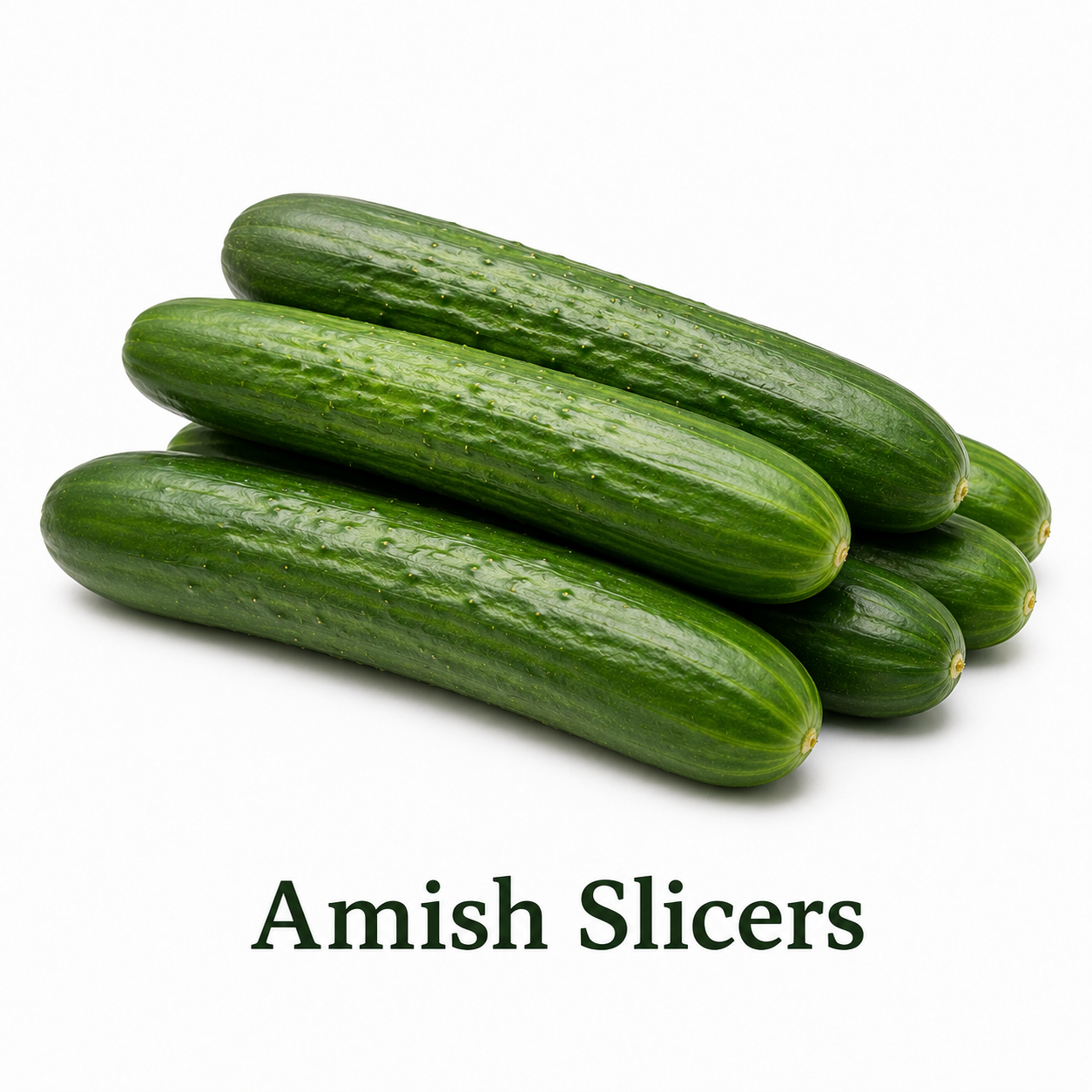 Amish Cucumber Slicers