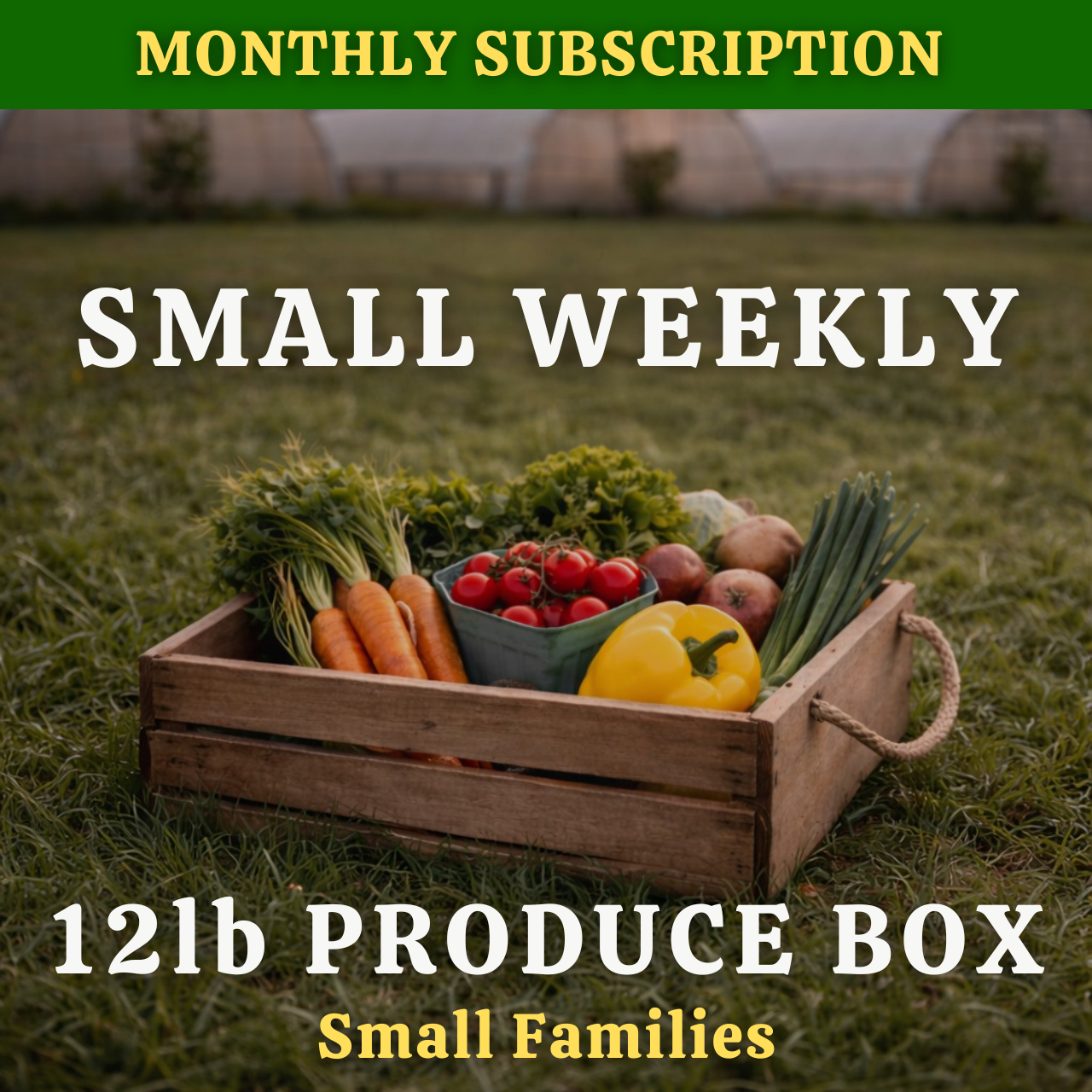 Farmersville Monthly | Small 12lb Weekly Produce Box ($50/week)