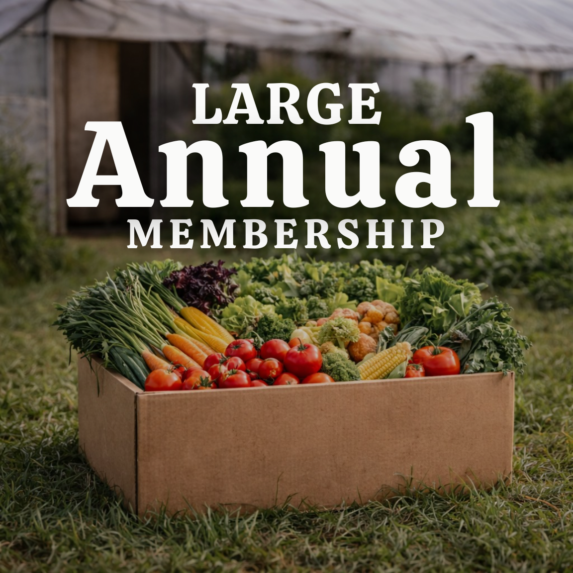 Large Annual Produce Membership | 24 Weeks