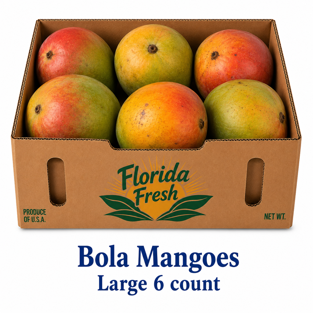 Bola Mangoes Large 6CT