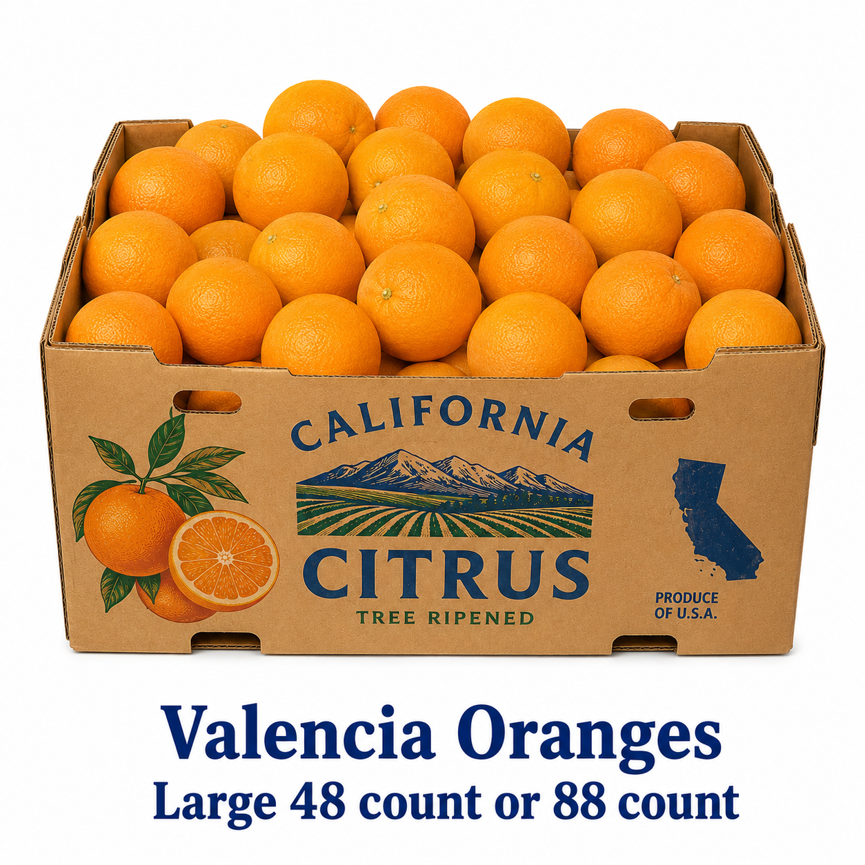 Valencia Oranges 48/88ct