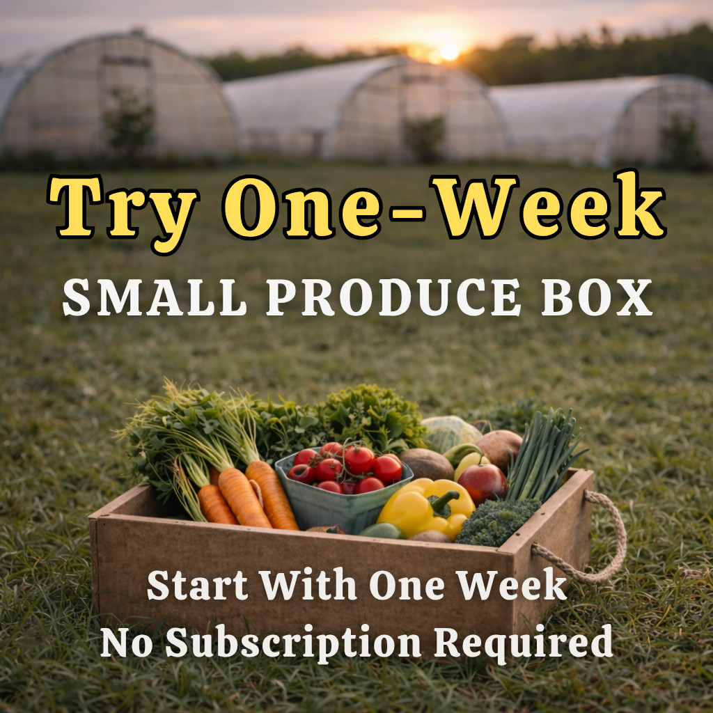 TRIAL 12lb Small Box