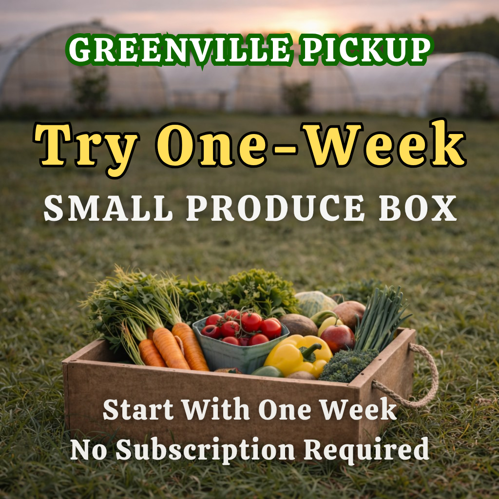 TRIAL Greenville 12lb Small Box