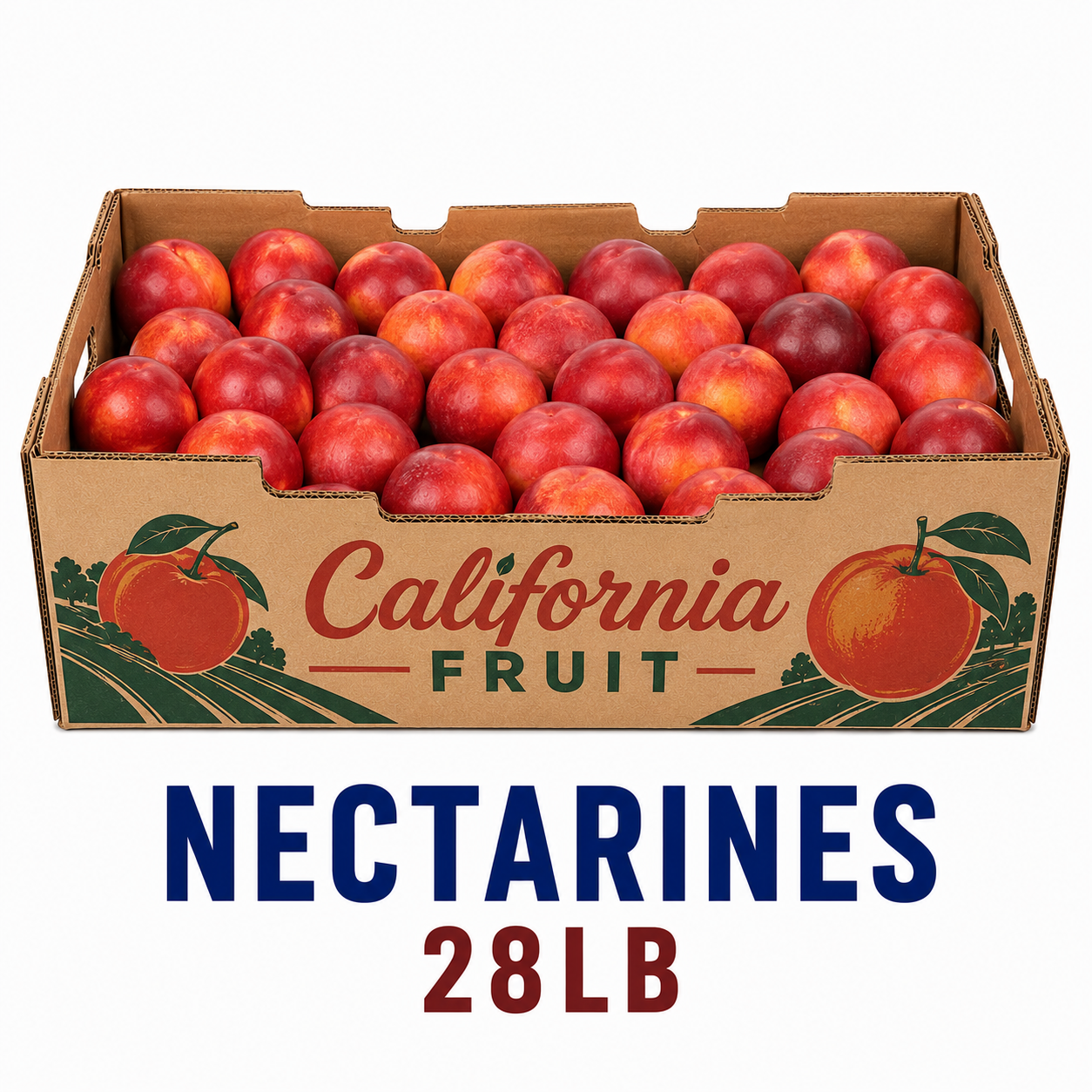 Nectarines VF 28lb