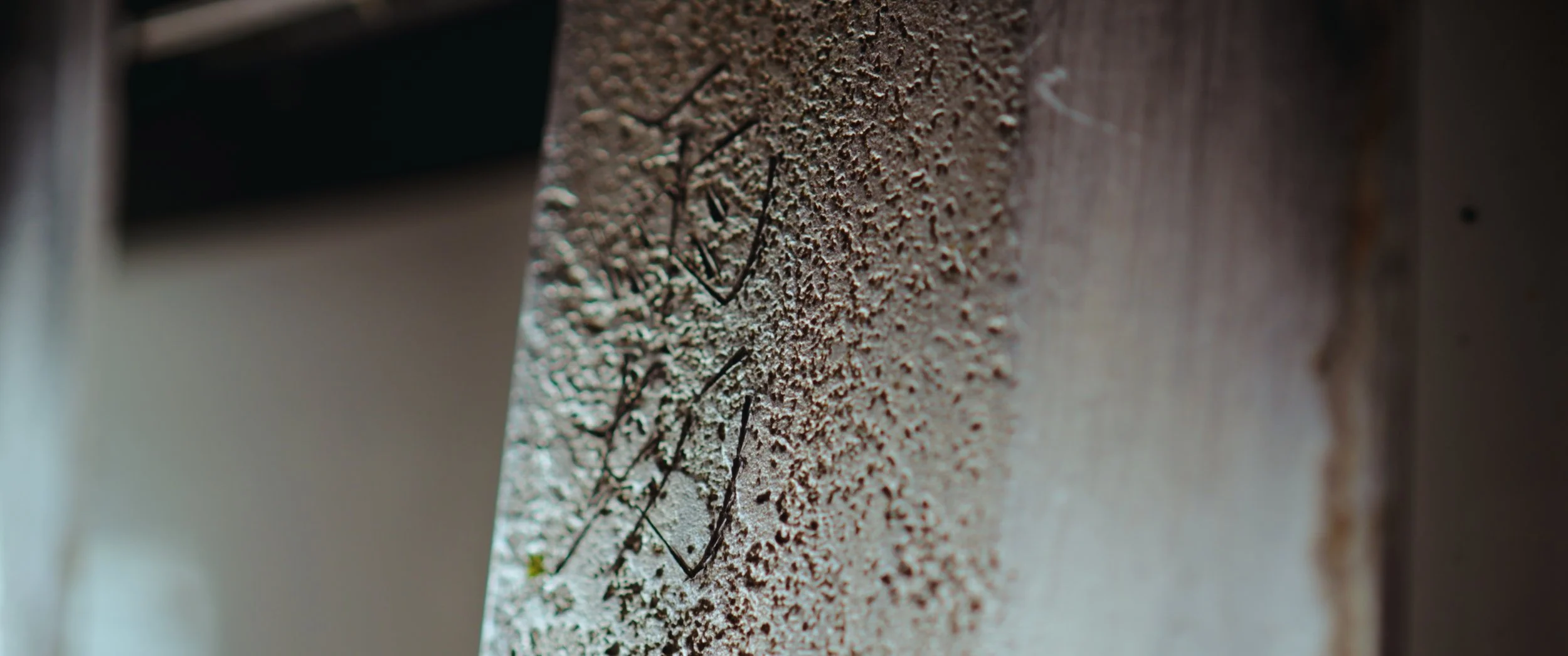 20240725_JaoaneseDegustationNight_Short copy_01_00_07_15.jpg