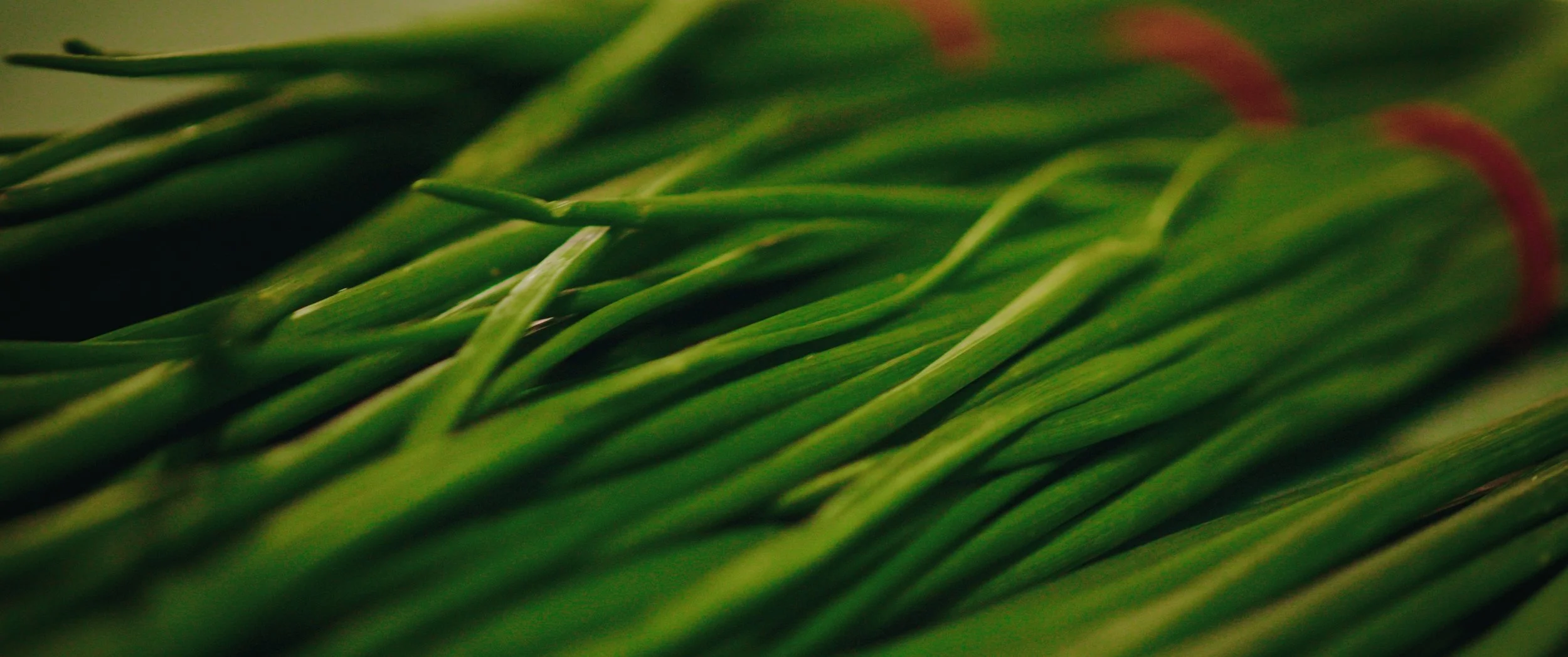 20240725_JaoaneseDegustationNight_Short copy_01_00_02_00.jpg