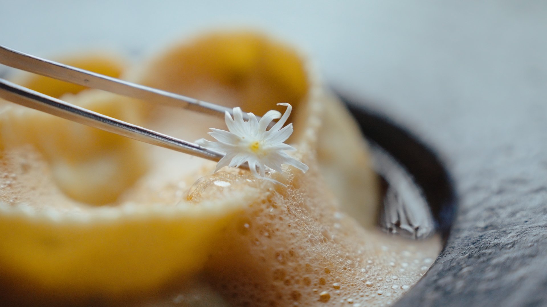 2025 0528 Master16x9_01_00_45_03.jpg