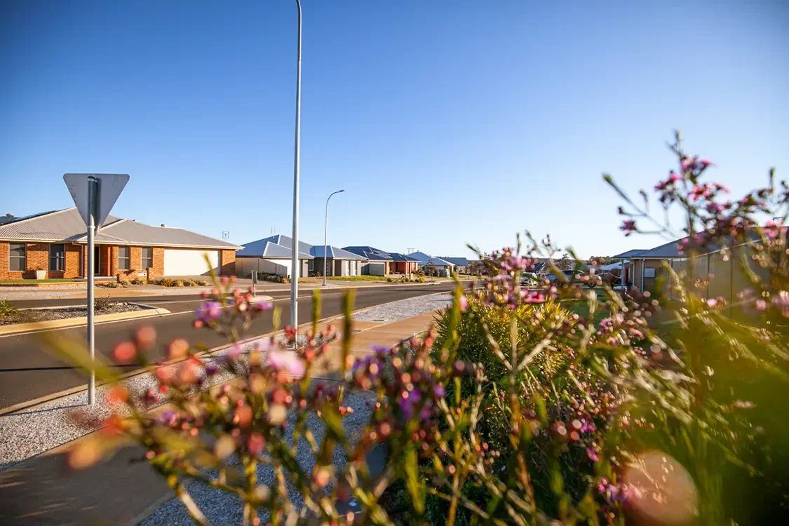 Macquarie View Estate Photos-9 Houses Garden.webp