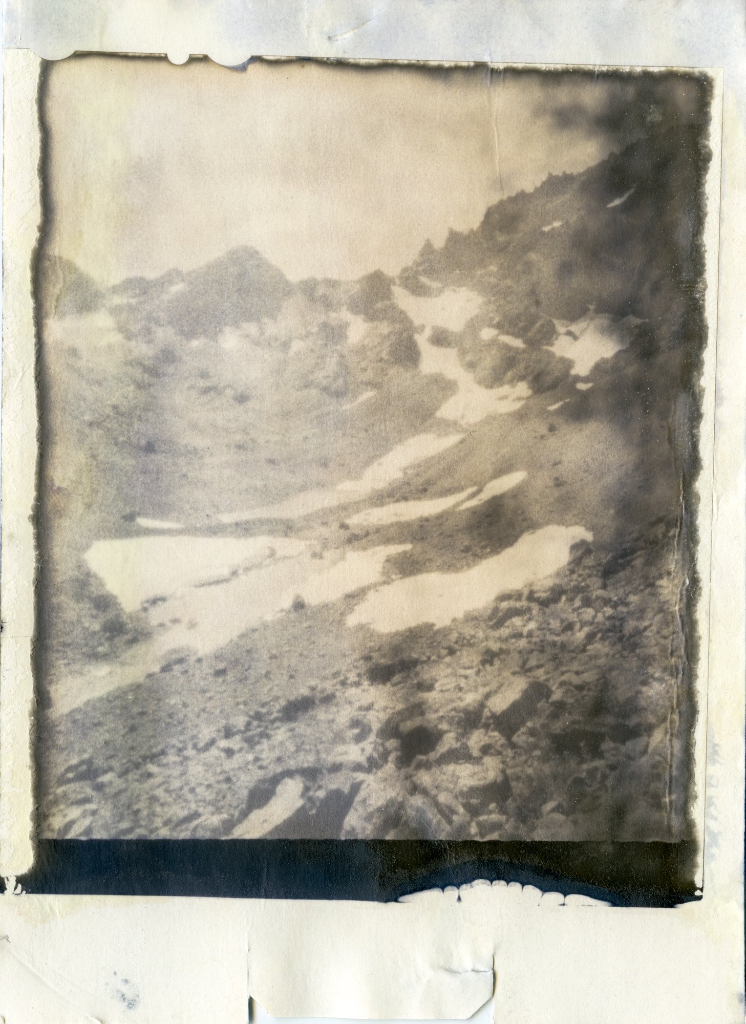 royal glacier, type 55 film, pinhole