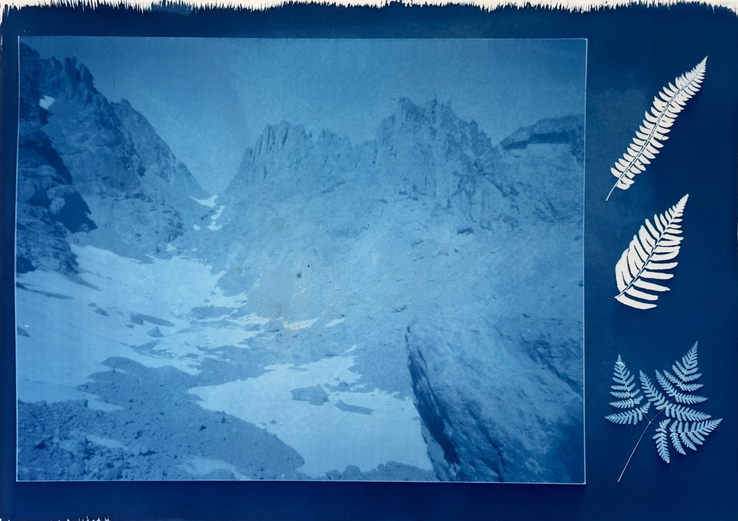surprise glacier, cyanotype print