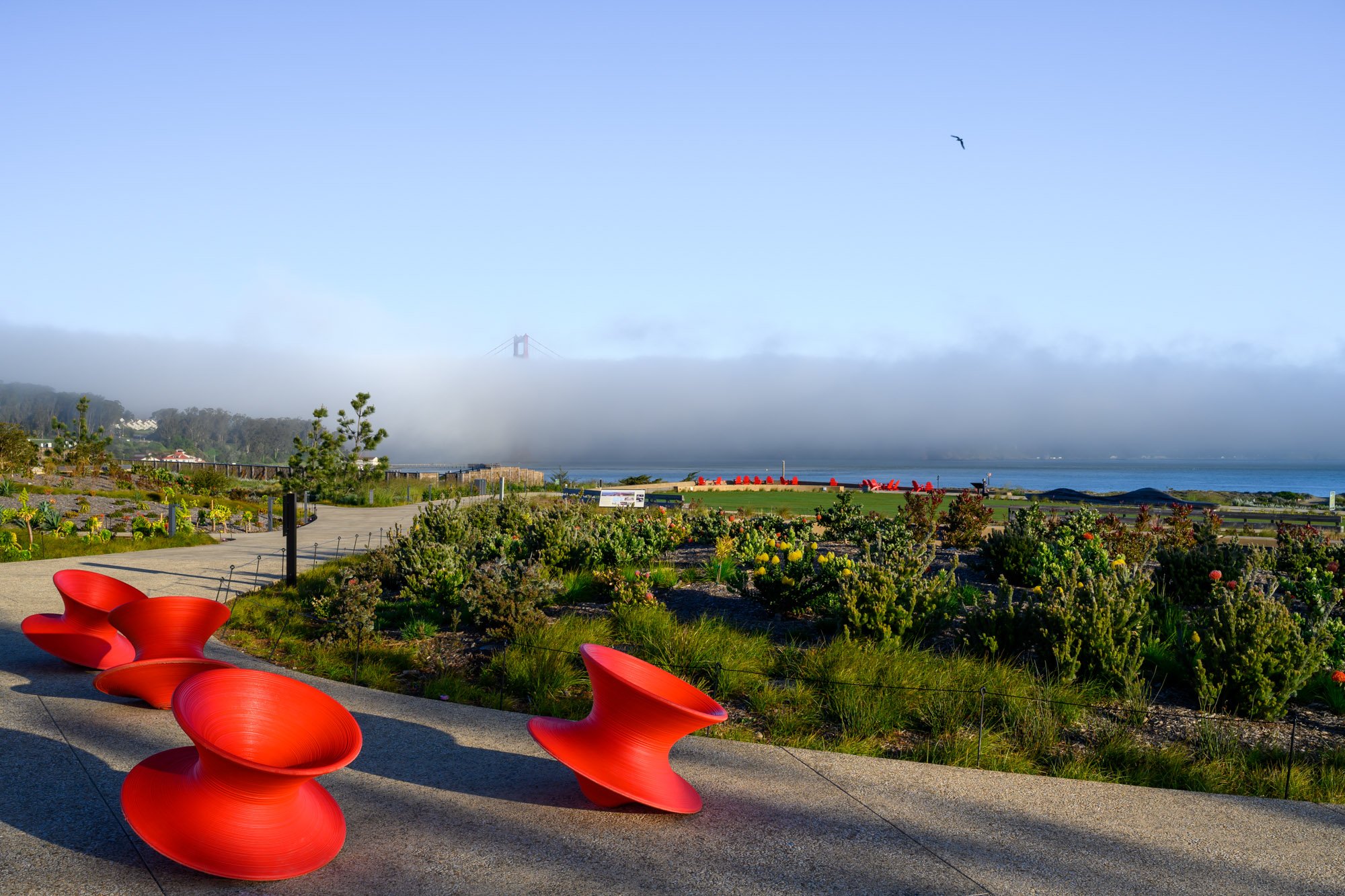  Presidio Tunnel Tops, San Francisco James Corner Field Operations  