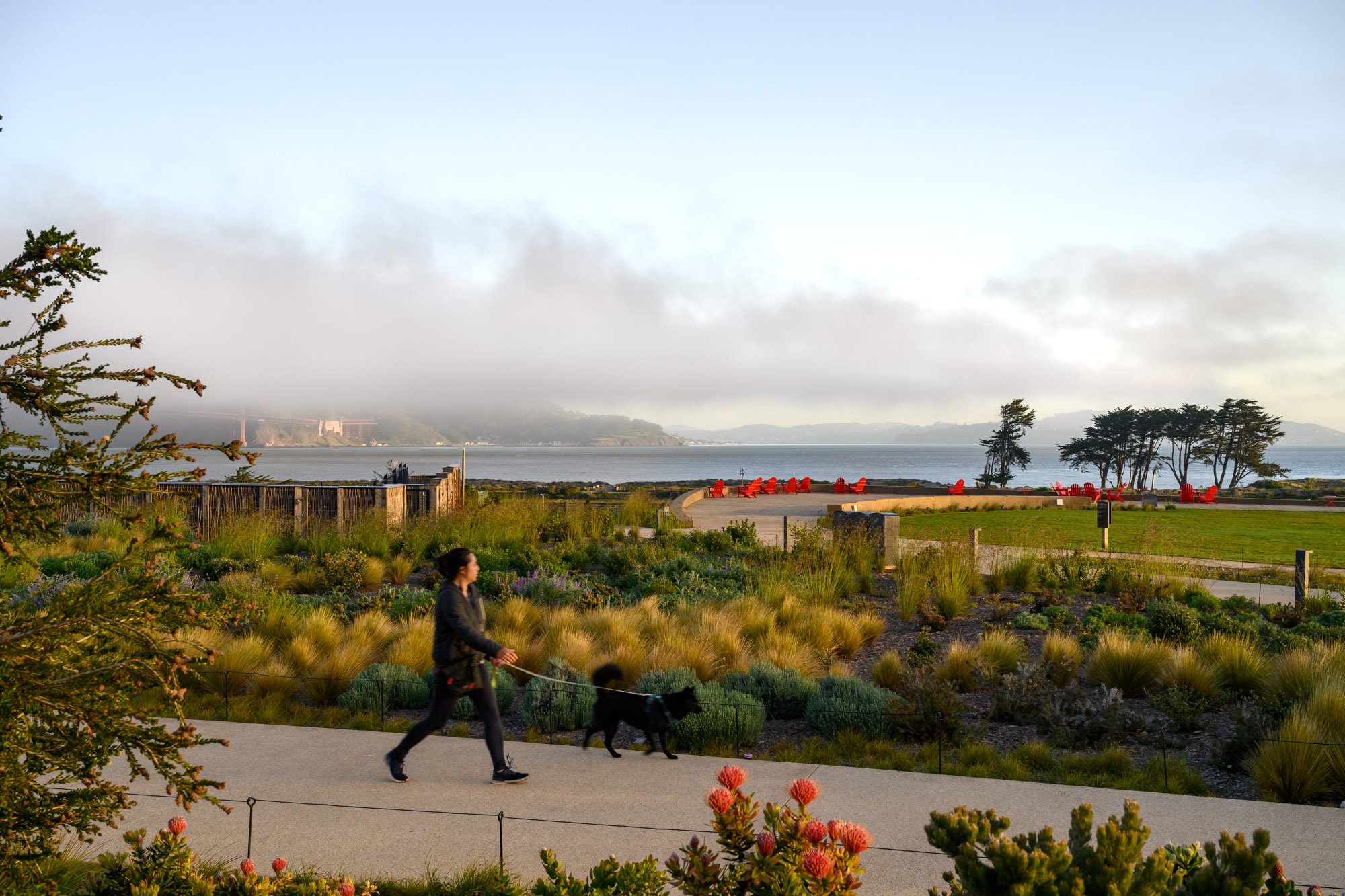  Presidio Tunnel Tops, San Francisco James Corner Field Operations  