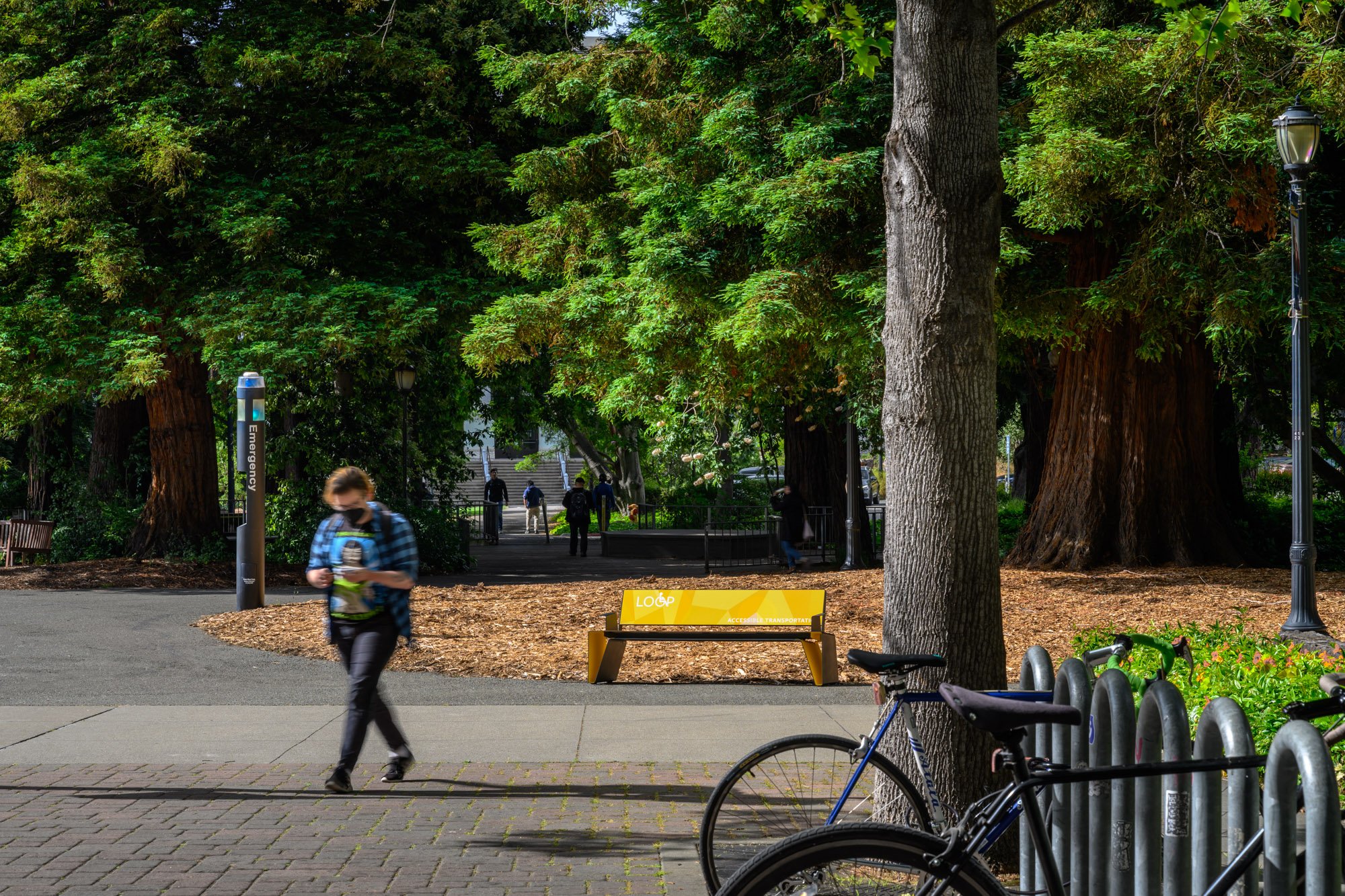  UC Berkeley Accessible Transit Loop Benches Groundworks Office  