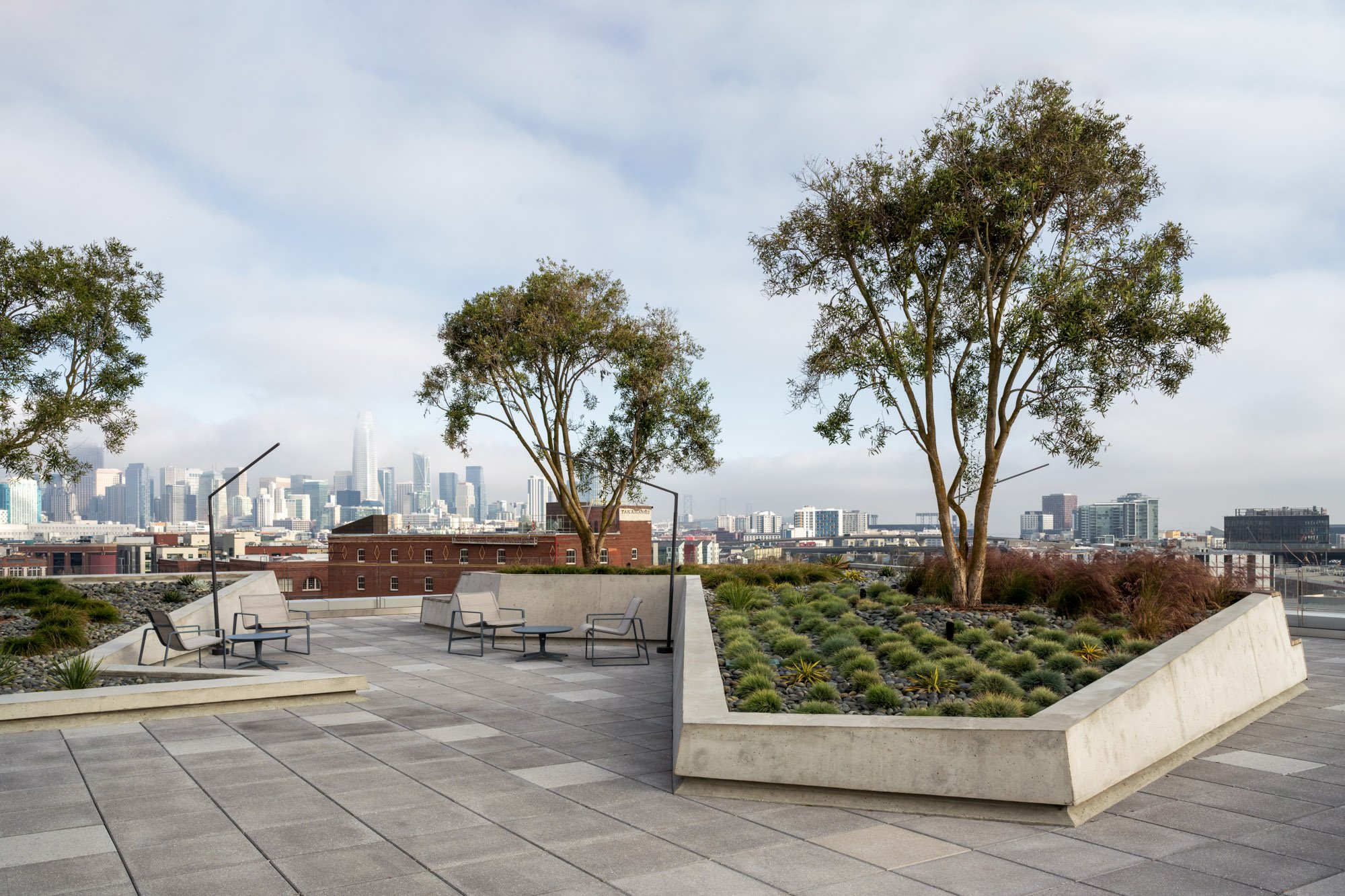  Rooftop in San Francisco Groundworks Office 