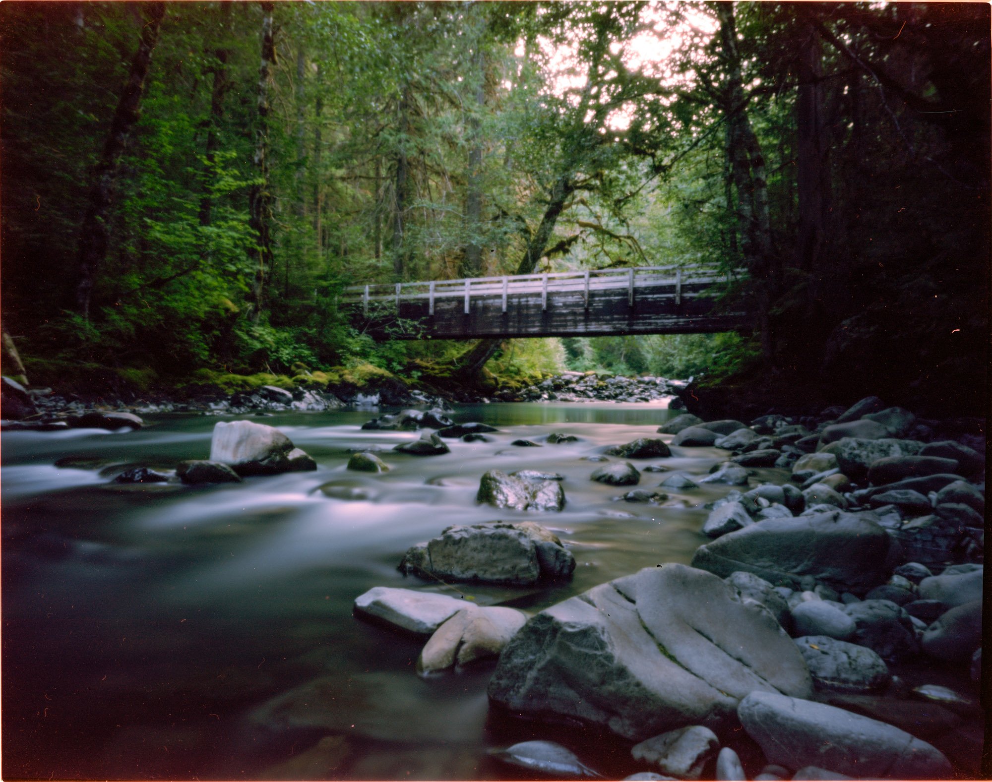 Dosewallips, Olympic National Park