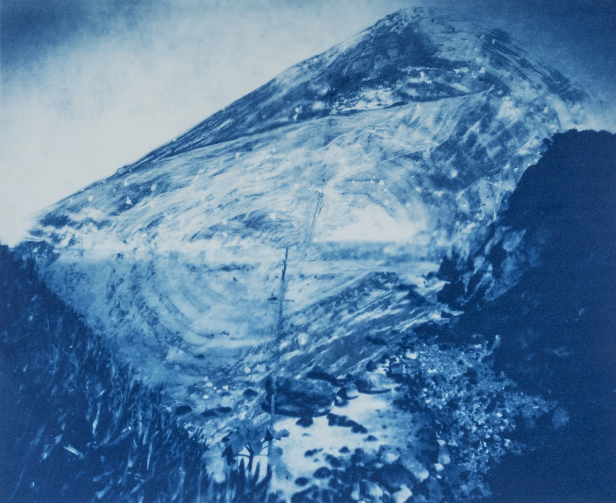20241119_Cyanotype-009.jpg