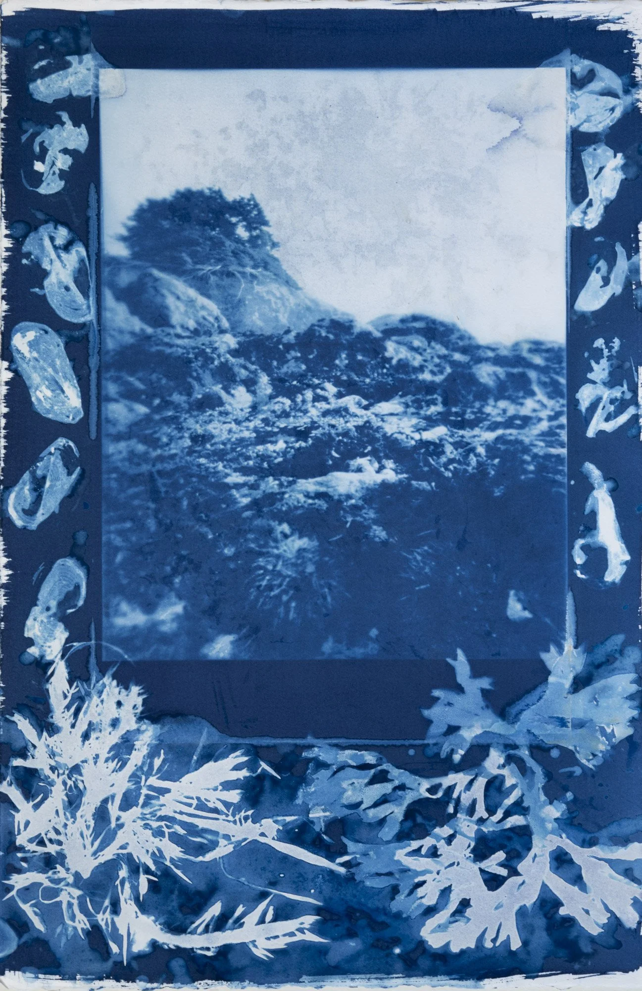 20240522_Cyanotype-026.jpg