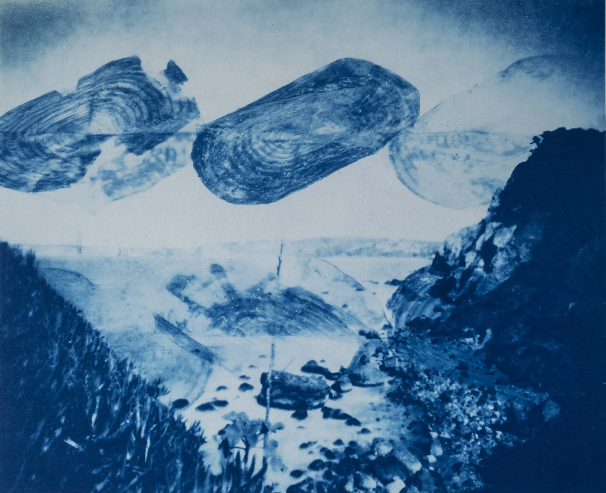 20241119_Cyanotype-010.jpg