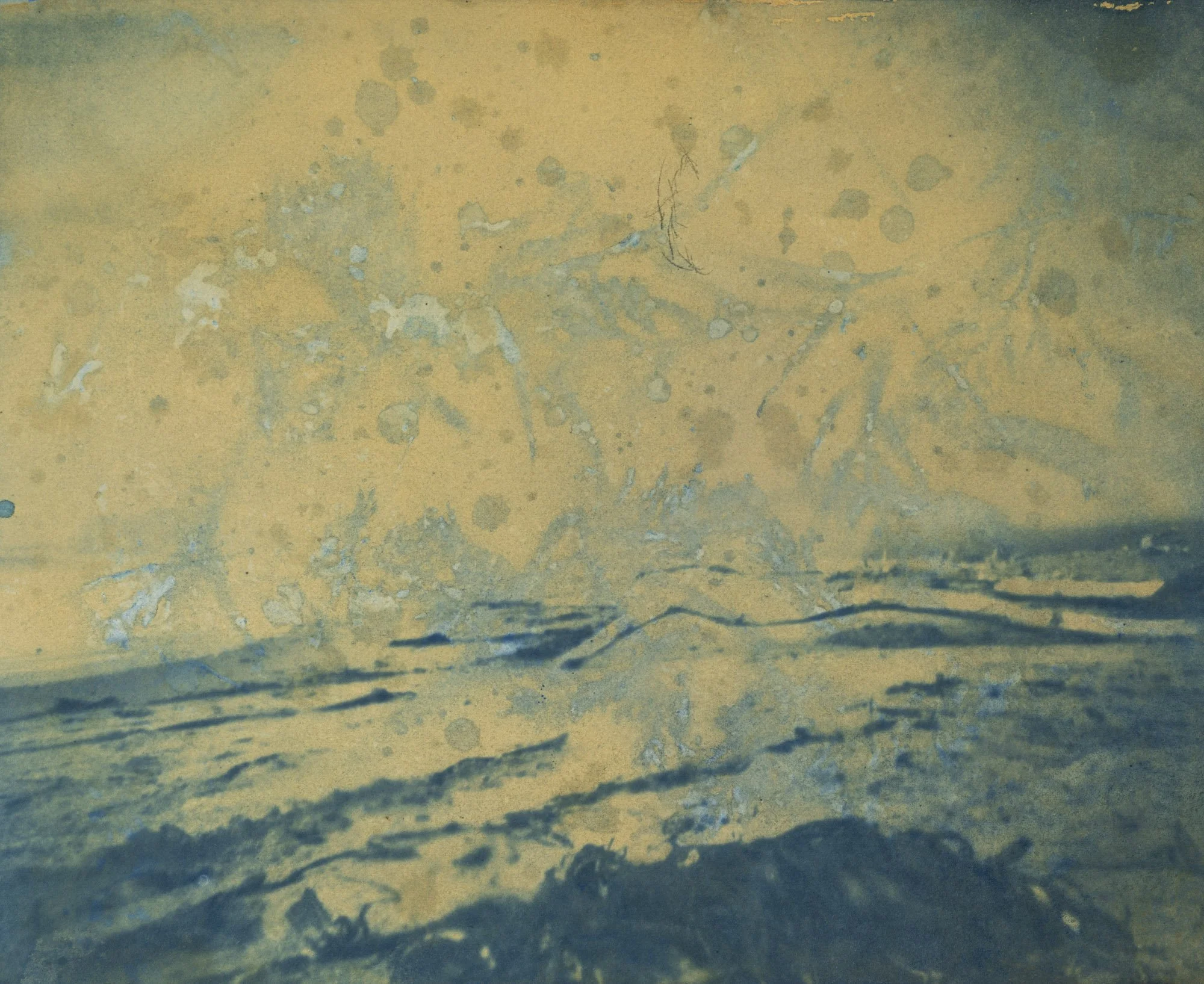 20241119_Cyanotype-015.jpg