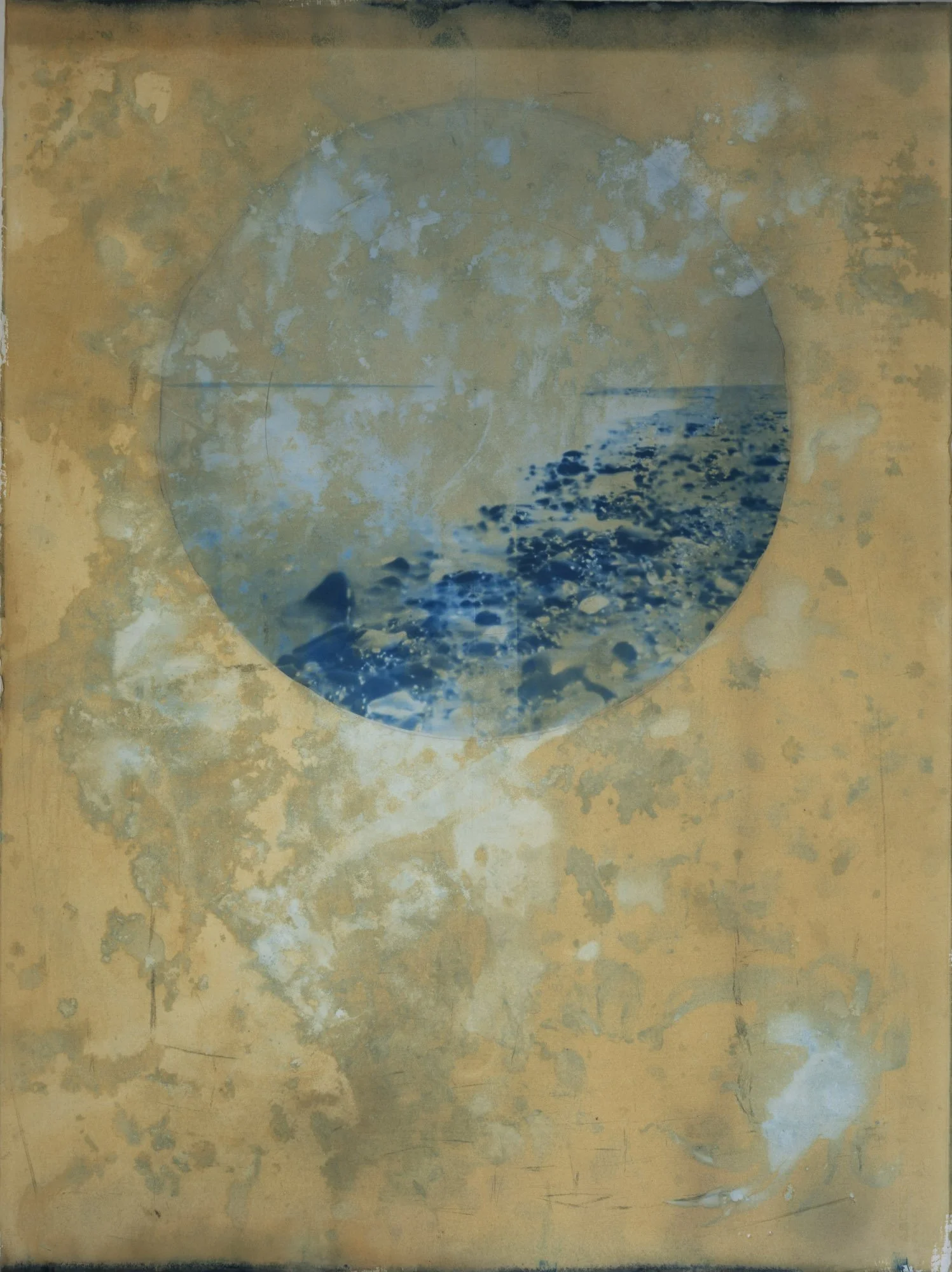 Bolinas Lagoon, 2025