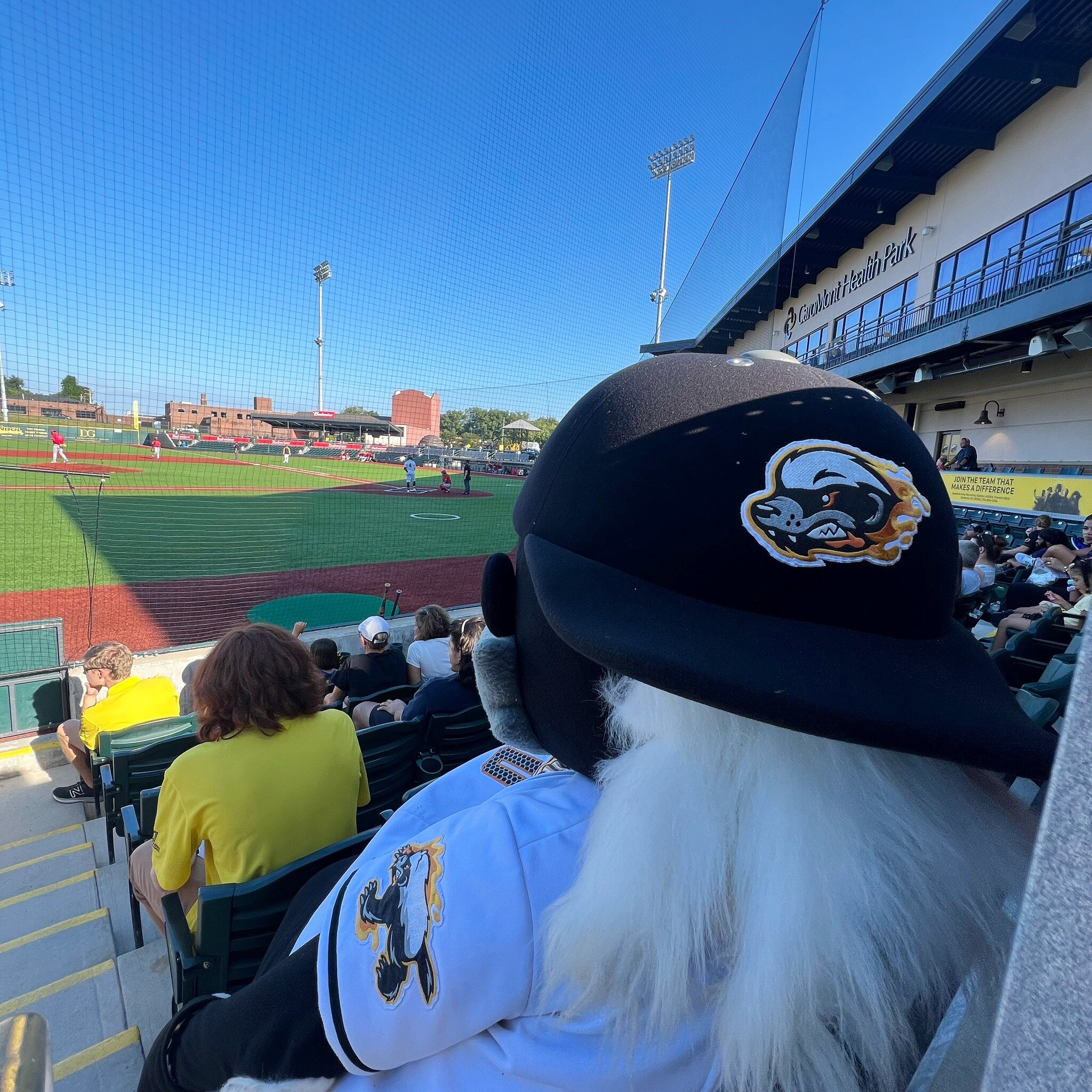 POV: you go to the concession stand and come back to this guy sitting in your seat👀

#MascotMonday #Bam #baseball #HoneyHuntersCountry