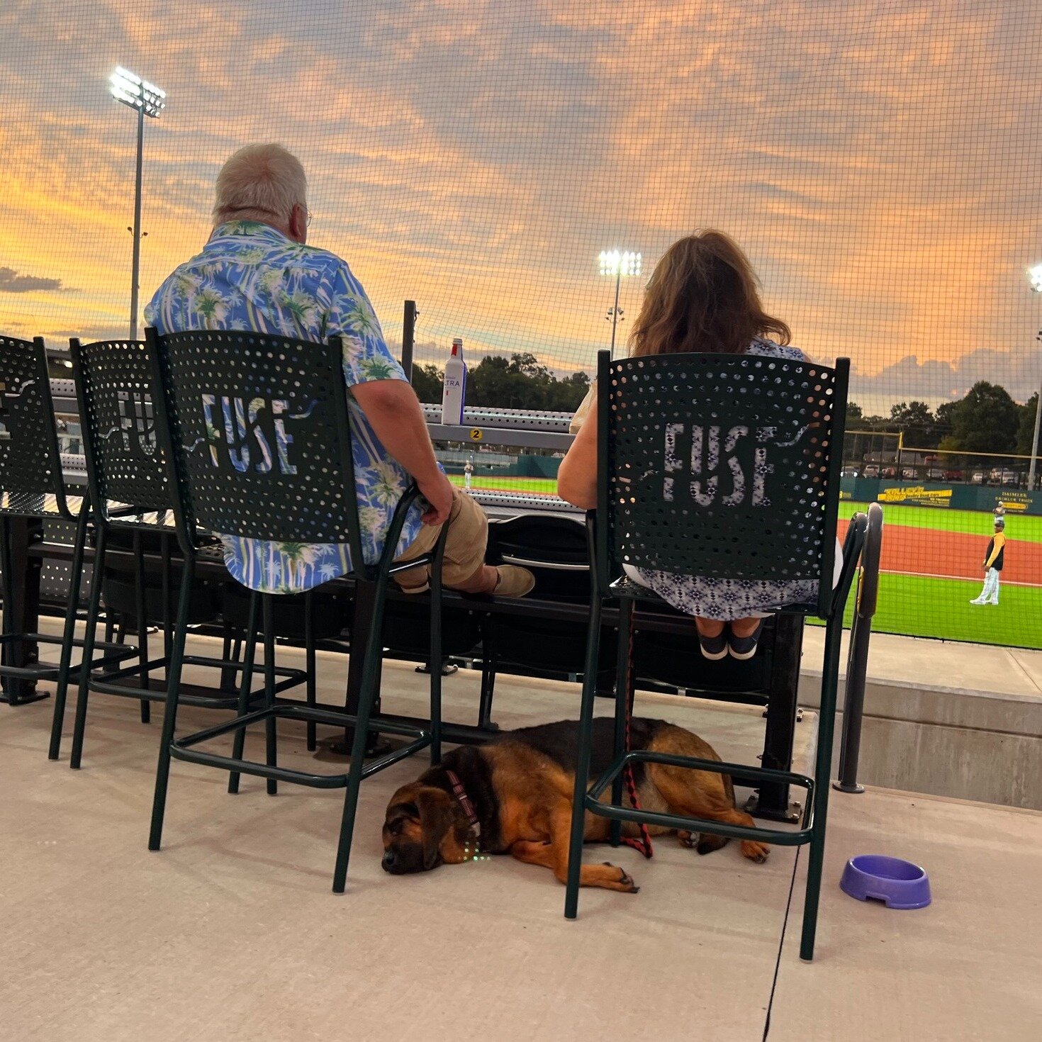 #ThrowbackThursday to baseball with a sunset sky backdrop and the dog-days of summer☀️

#tbt #barkinthepark #sunset #Gastonia
