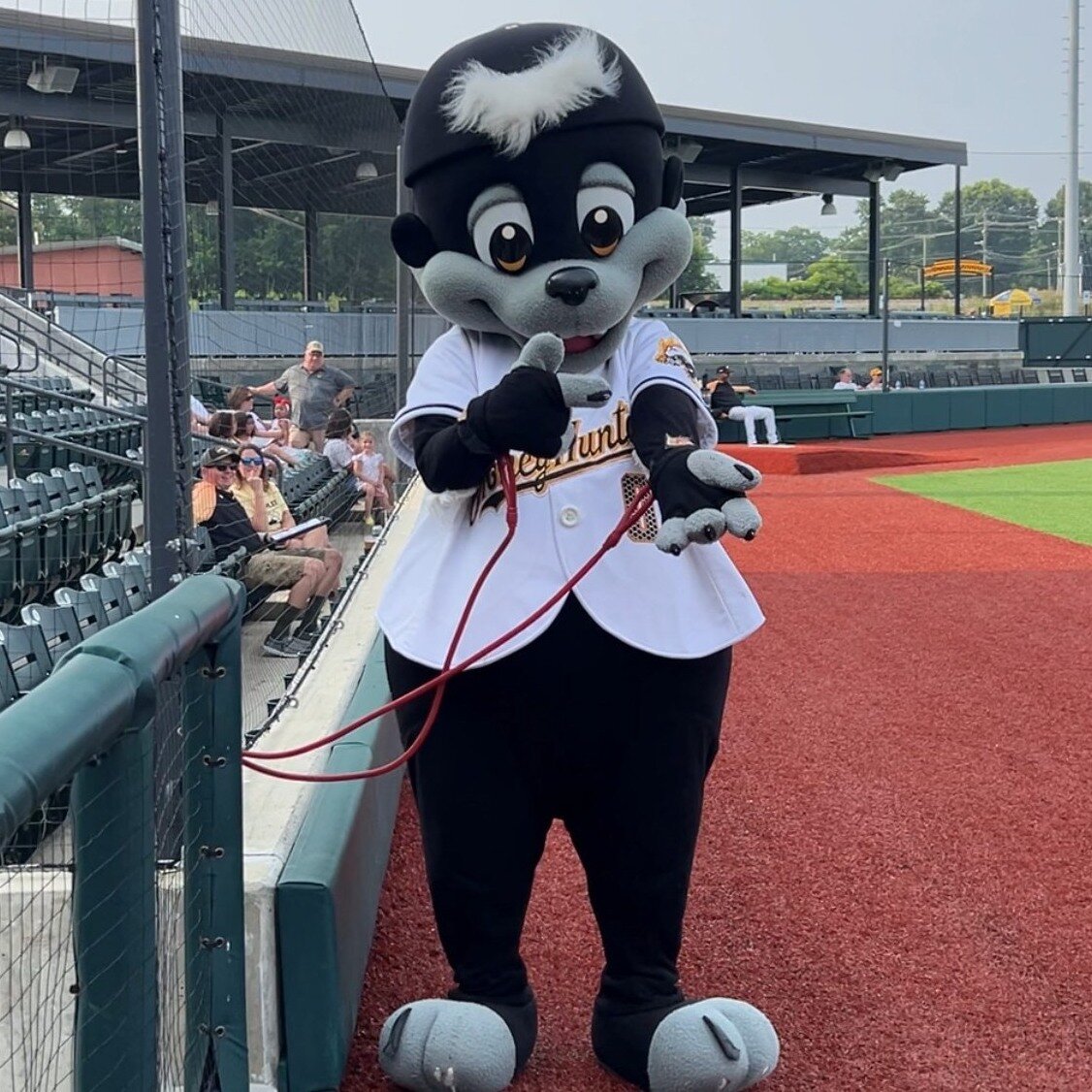 Sometimes you win rock, paper, scissors.... and sometimes you lose and have to pay the price😂

#MascotMonday #Bam #HoneyHuntersCountry