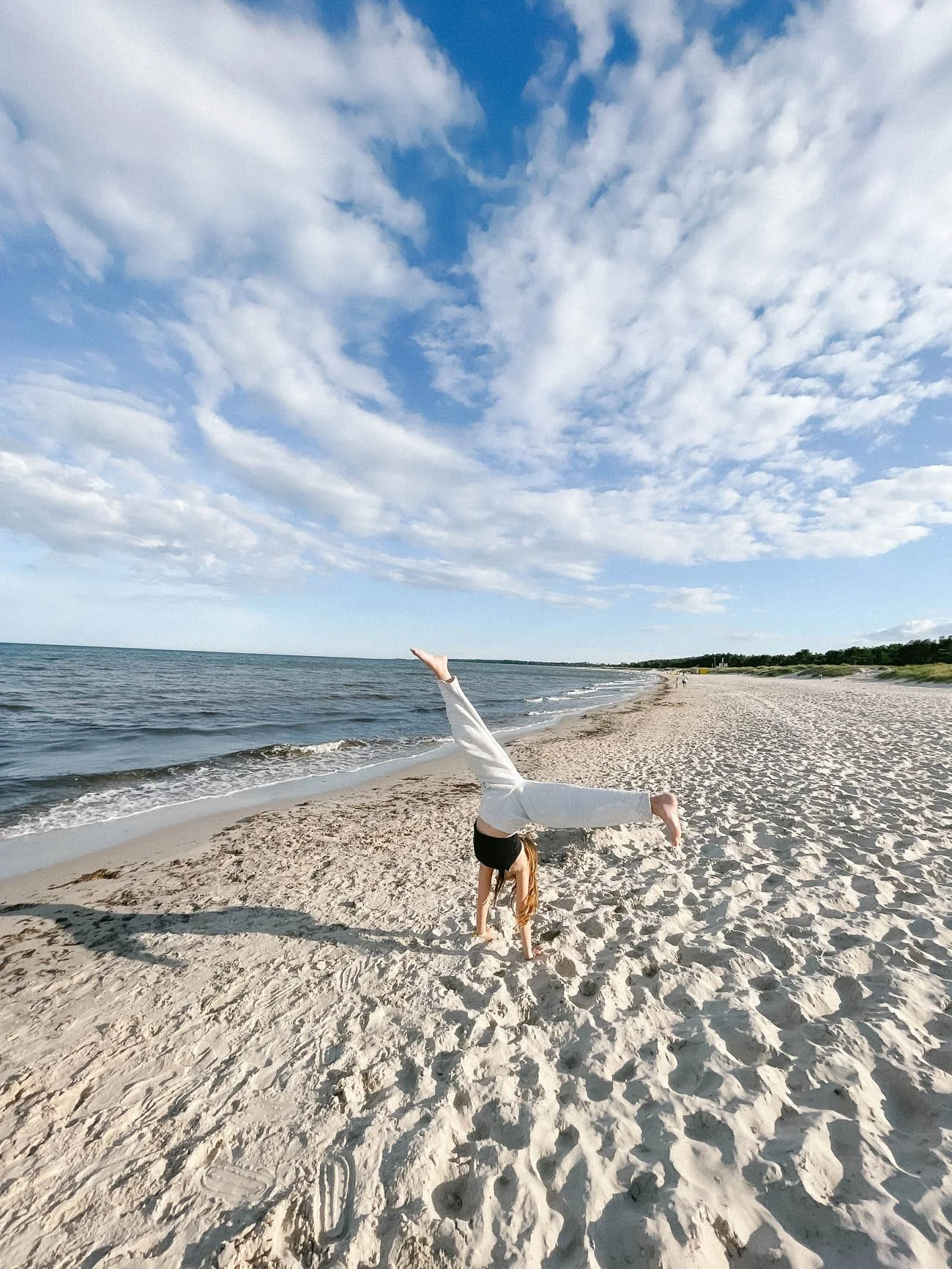 Böda-sand-leirintäalue-Öölanti-8.jpg