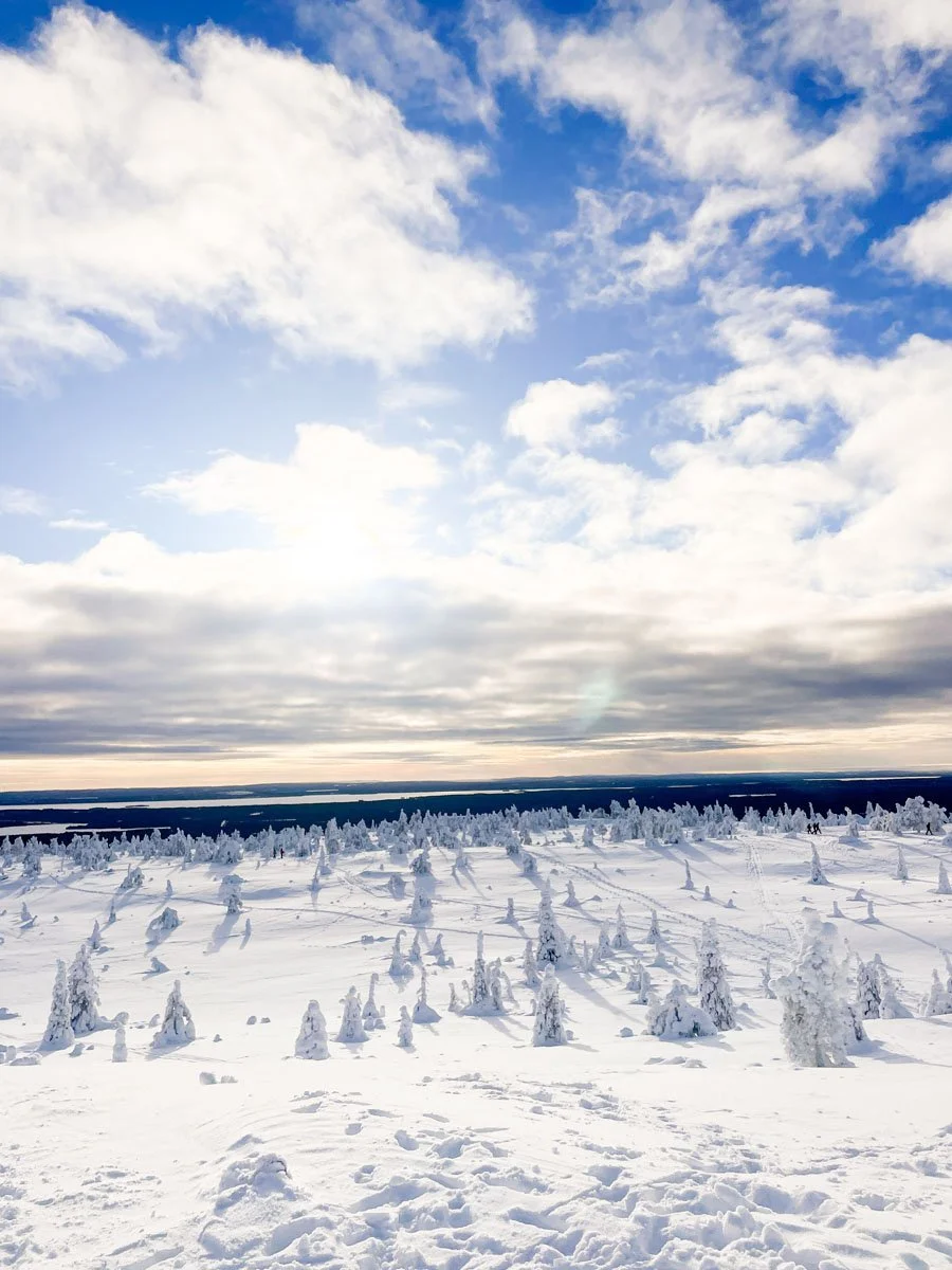 Riisitunturi-talvella-15.jpg
